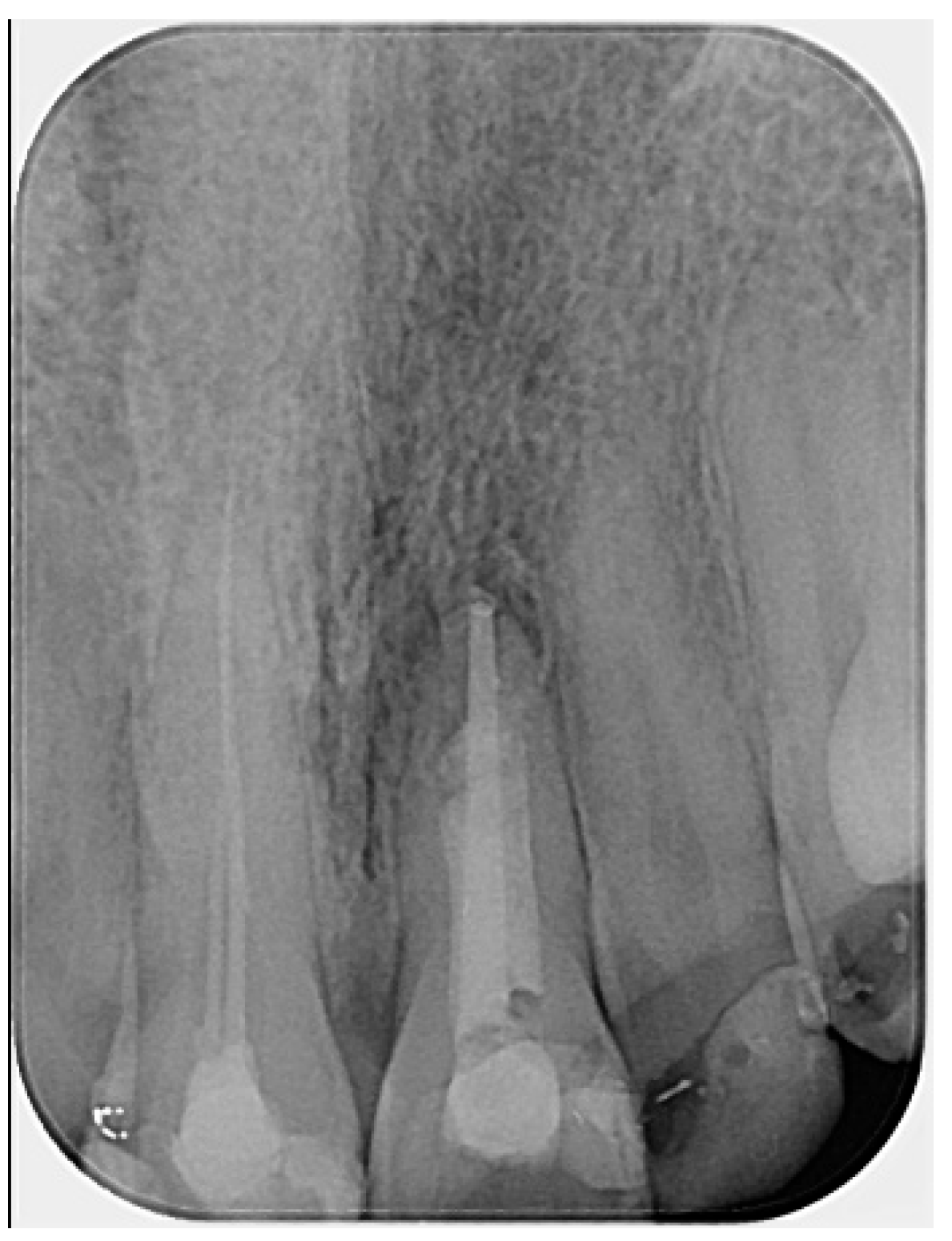 Reports 08 00076 g002