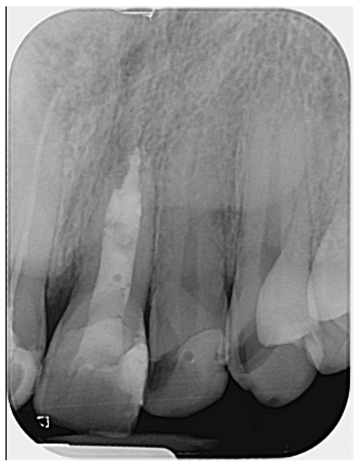 Reports 08 00076 g004