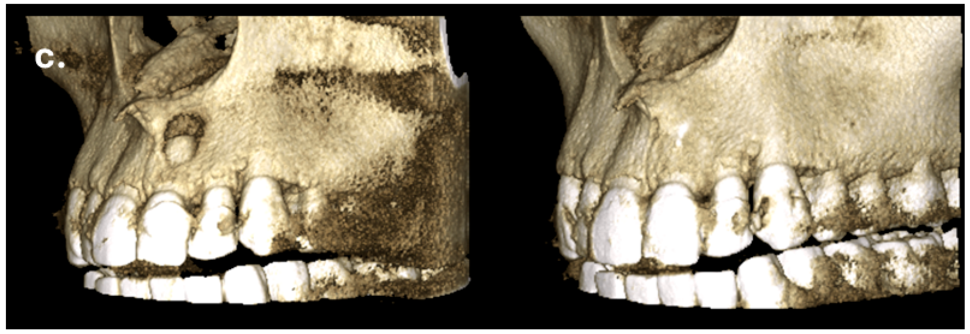 Reports 08 00076 g005b