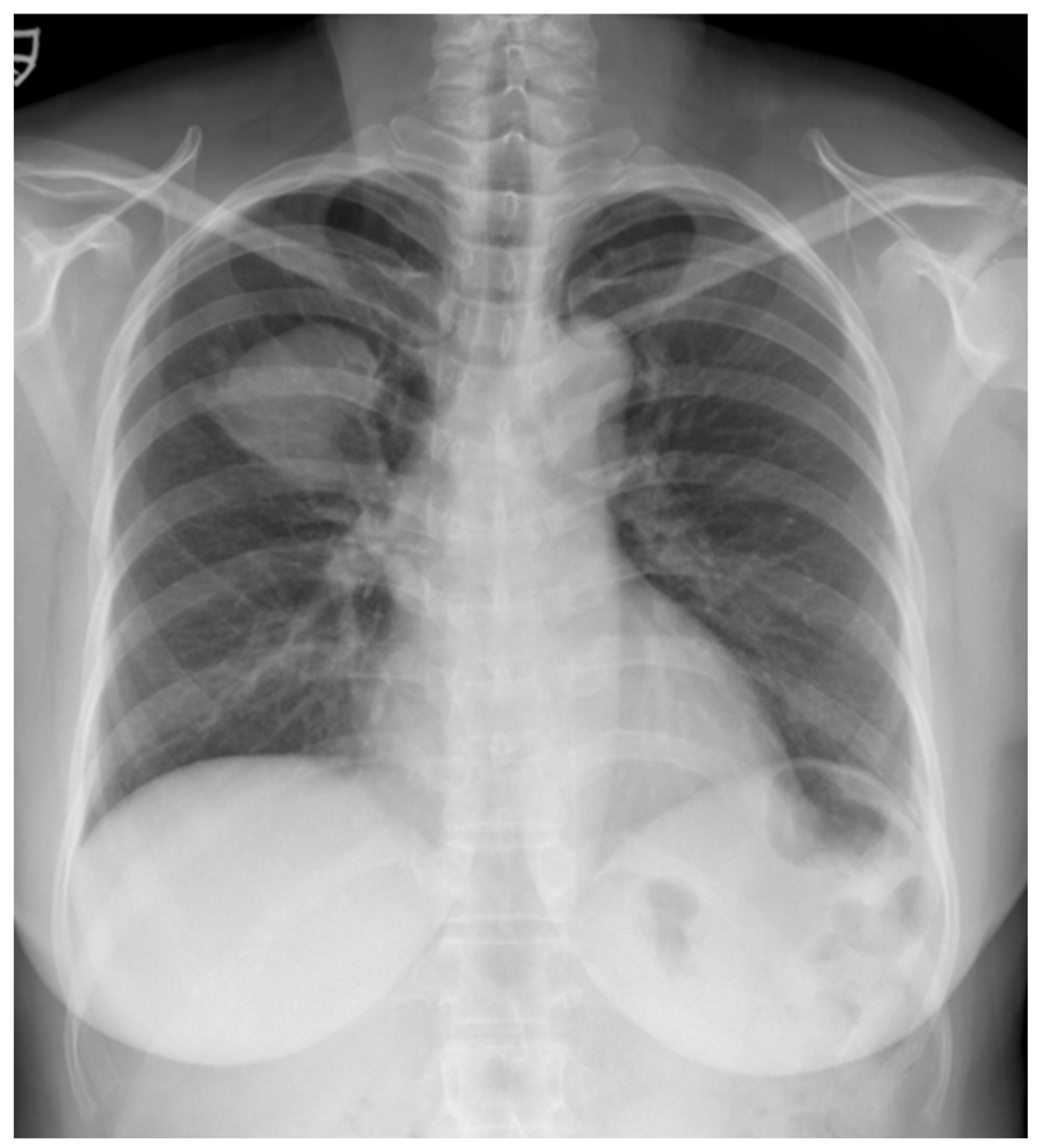 Reports 08 00078 g001