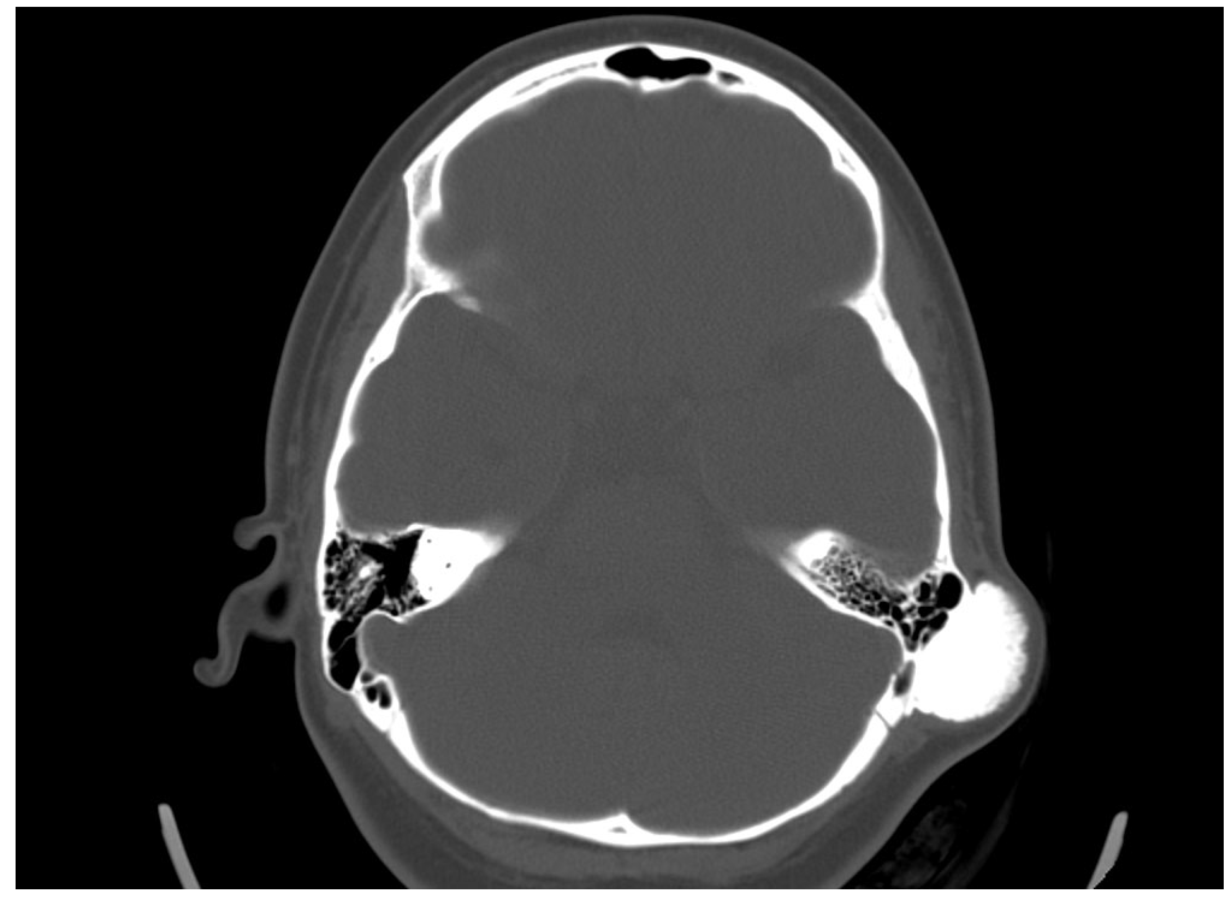 Reports 08 00081 g003