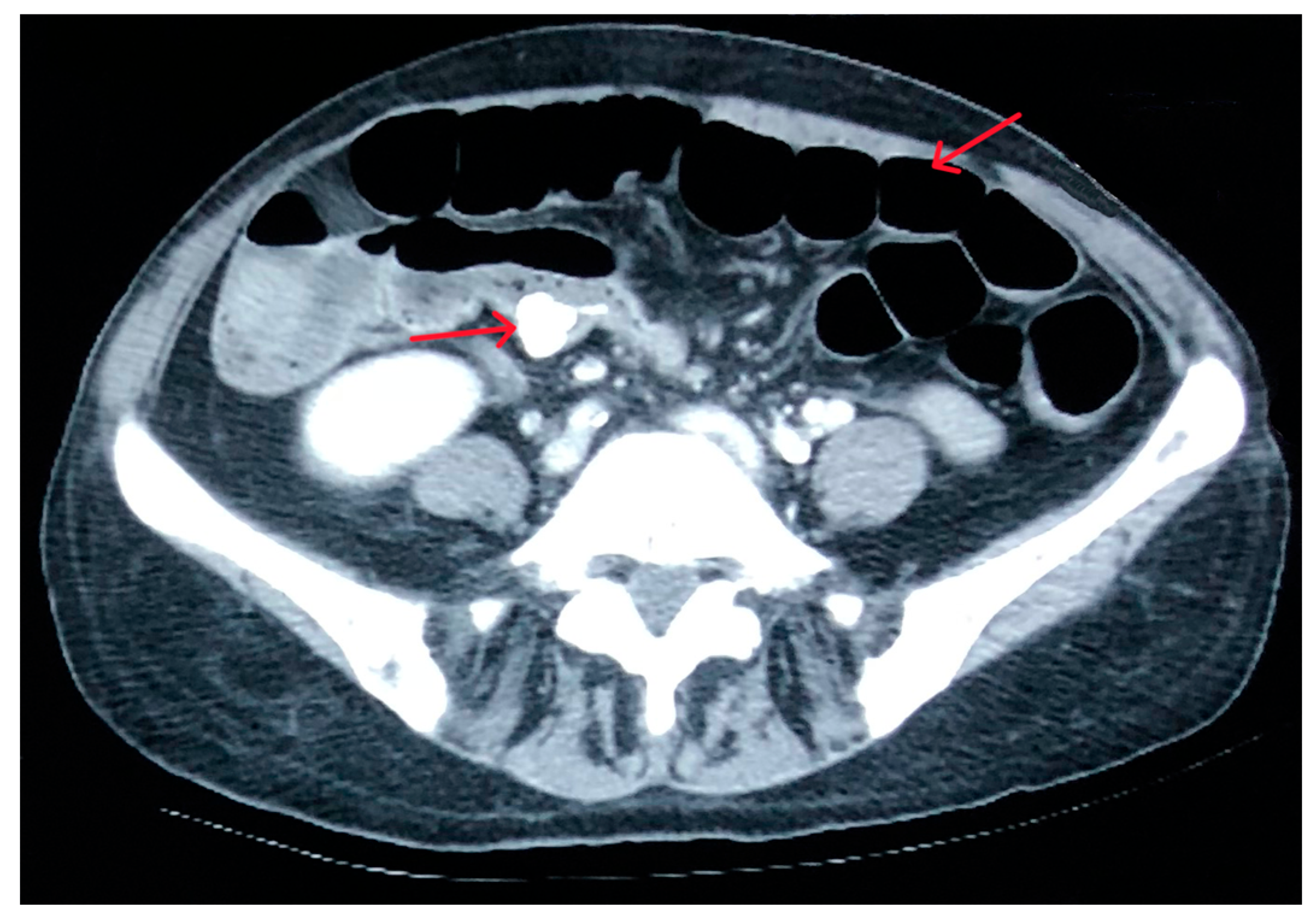 Reports 08 00082 g001 Reports 08 00082 g001