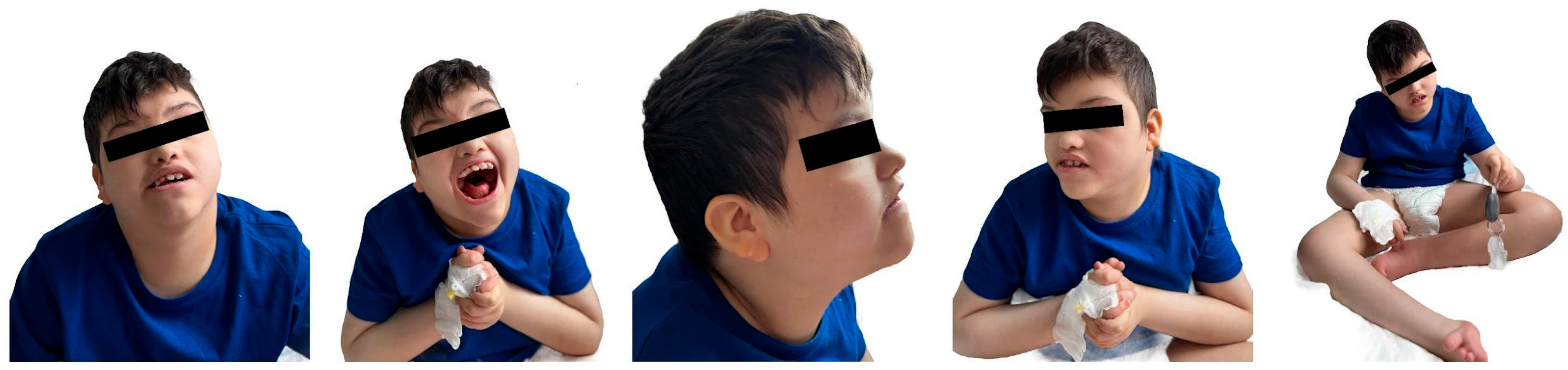 Reports 08 00084 g002