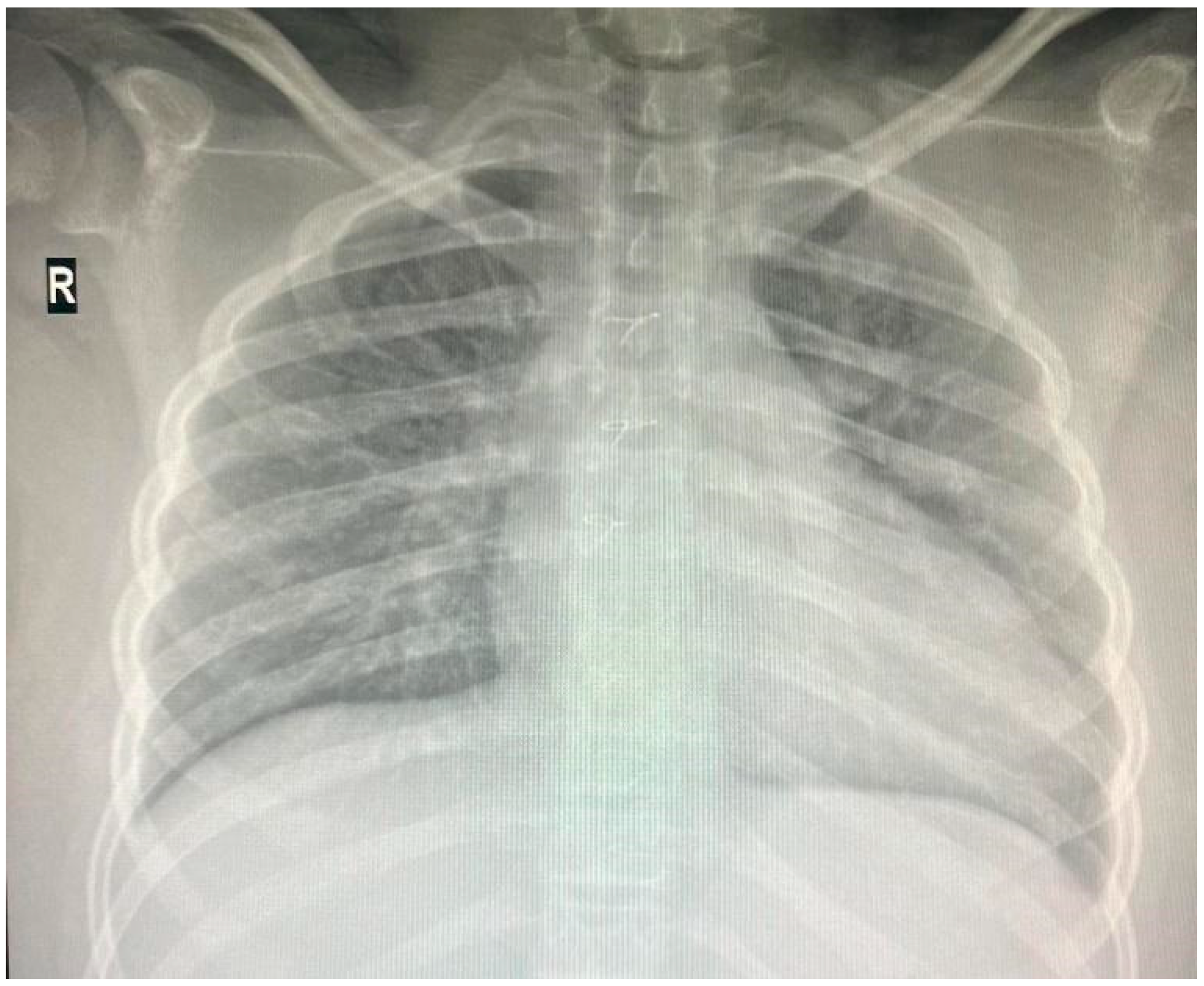 Reports 08 00084 g003