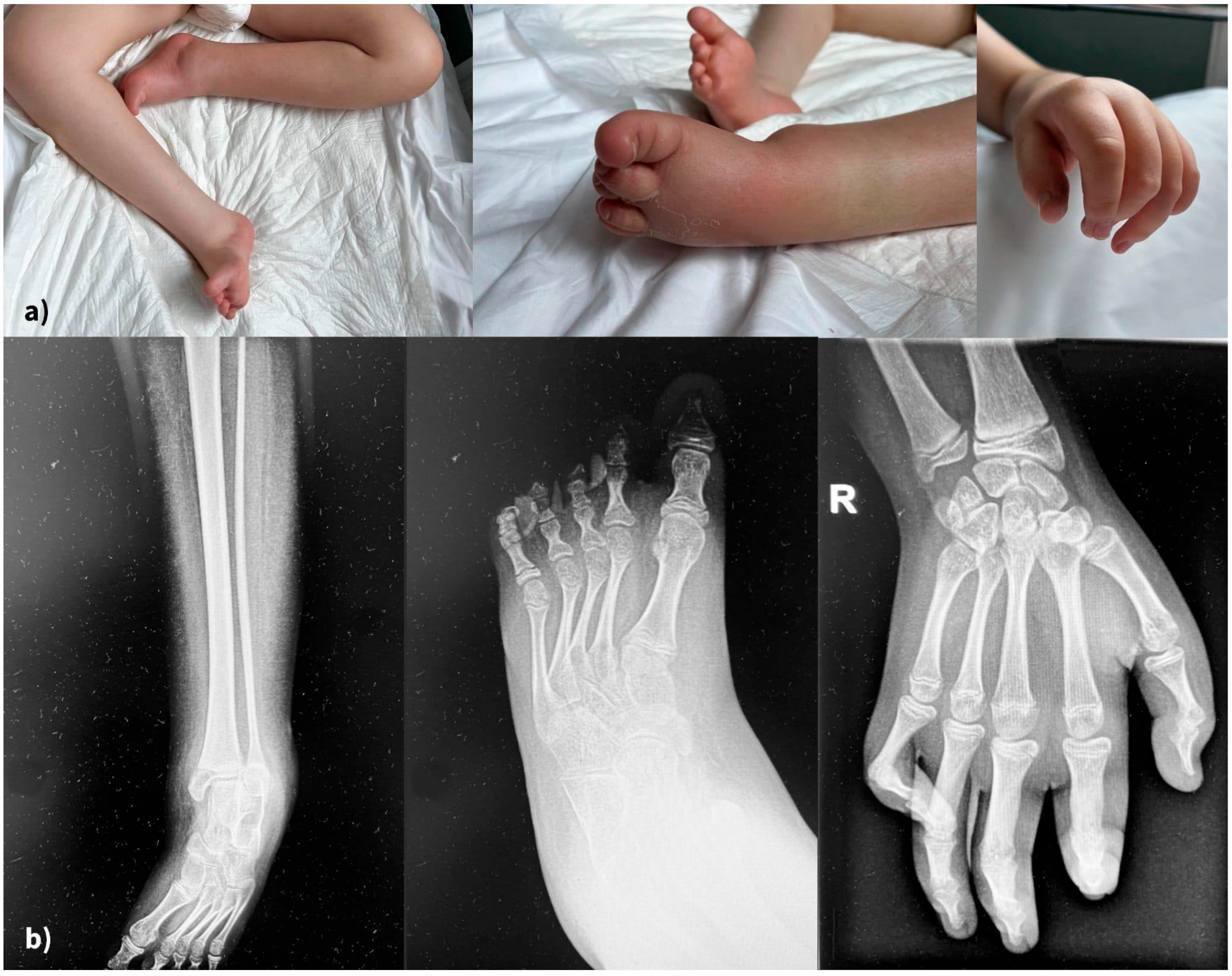 Reports 08 00084 g004