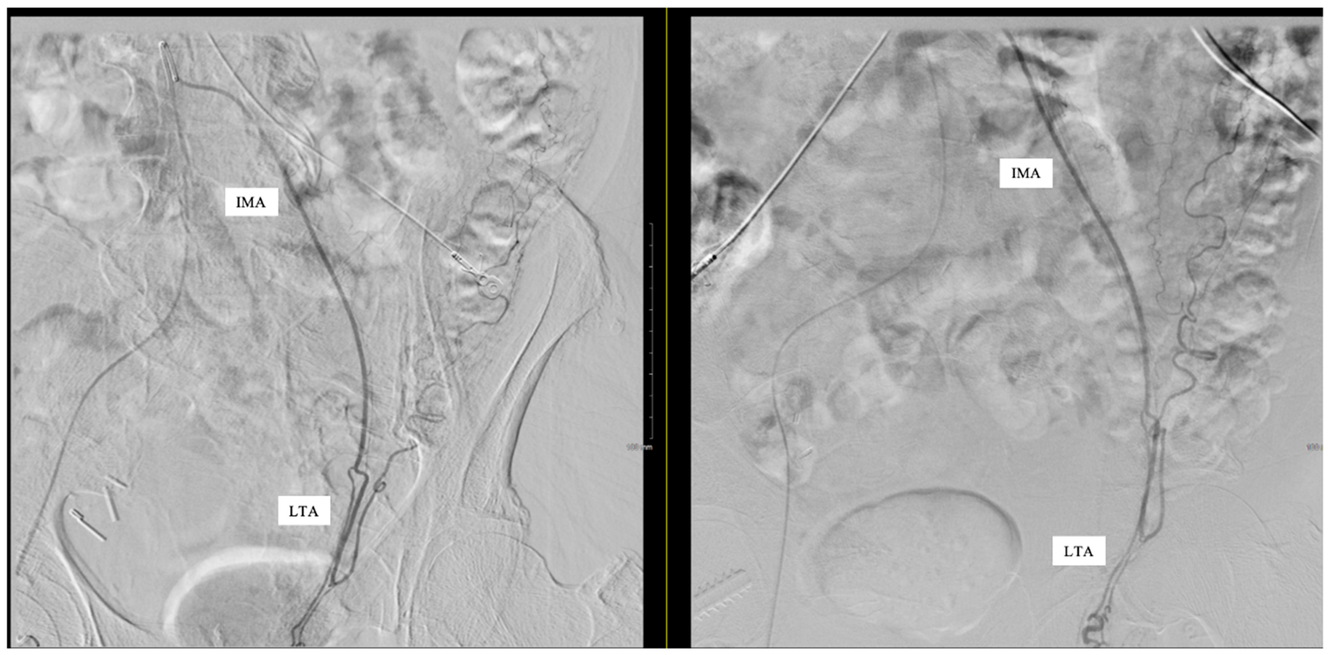 Reports 08 00086 g002 Reports 08 00086 g002