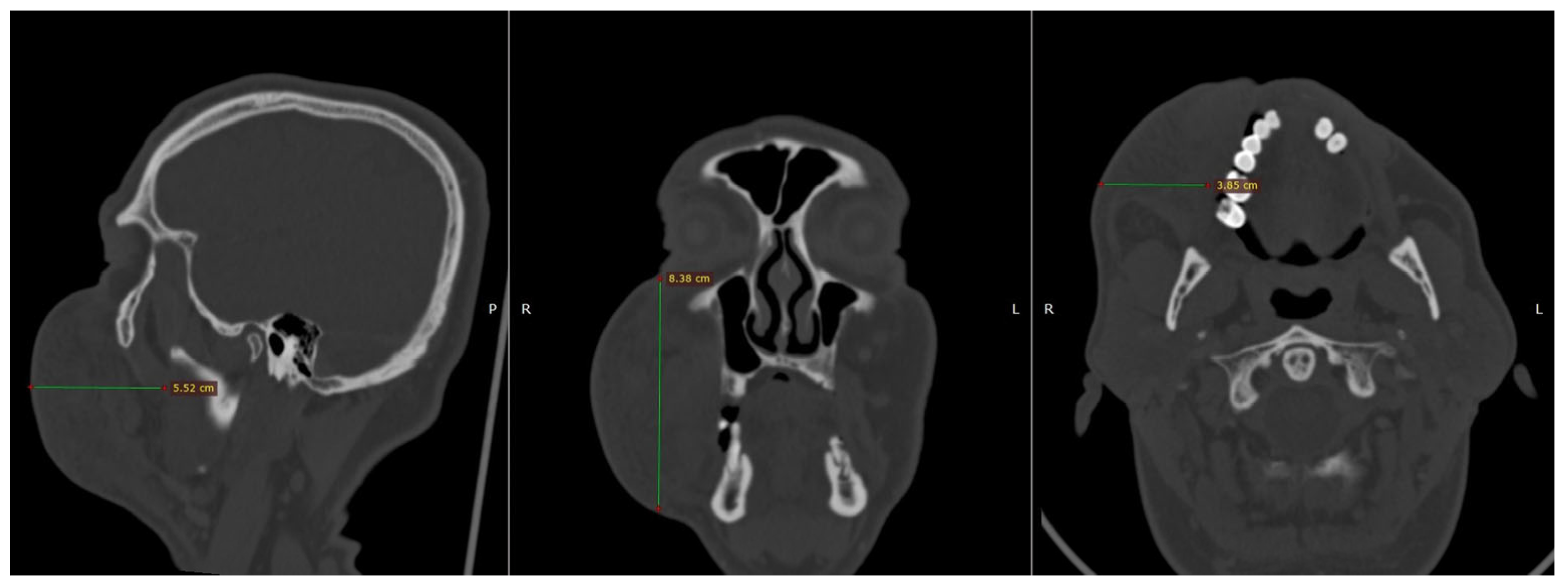 Reports 08 00088 g001