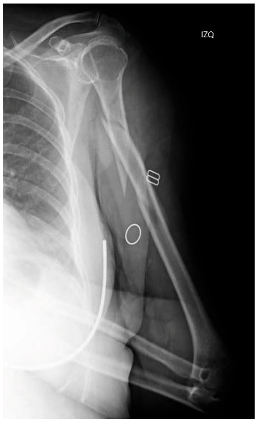 Reports 08 00089 g001