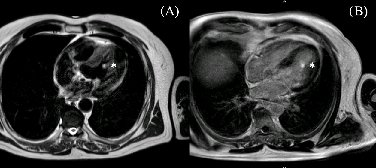 Reports 08 00090 g002