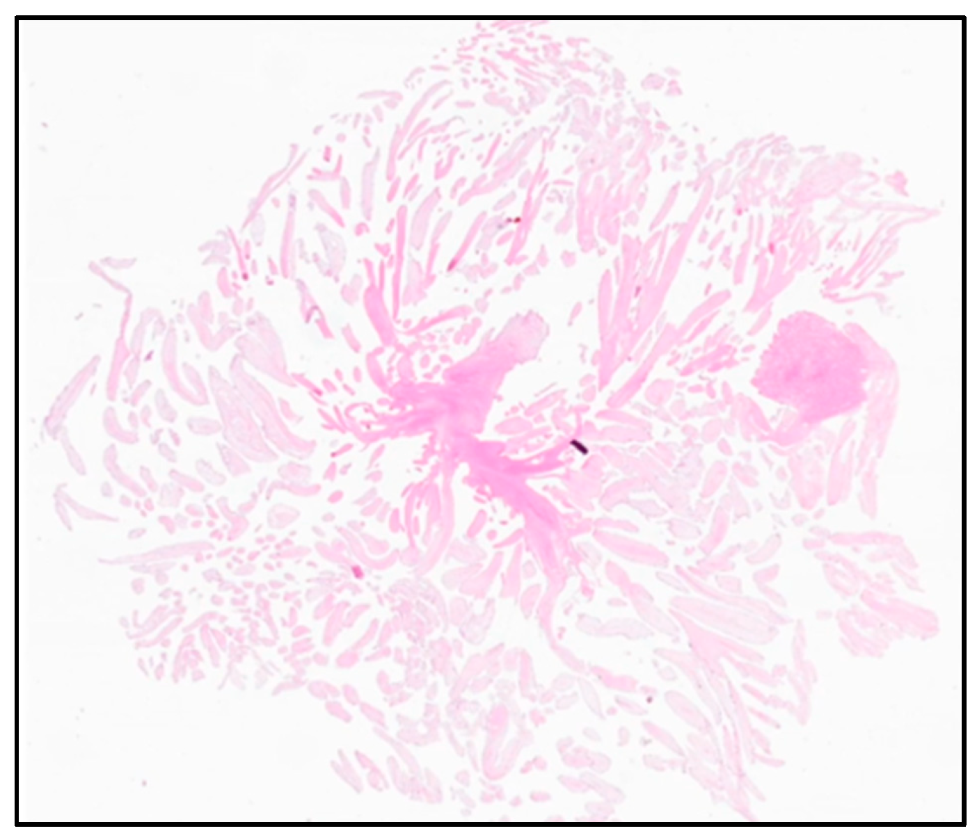 Reports 08 00090 g004