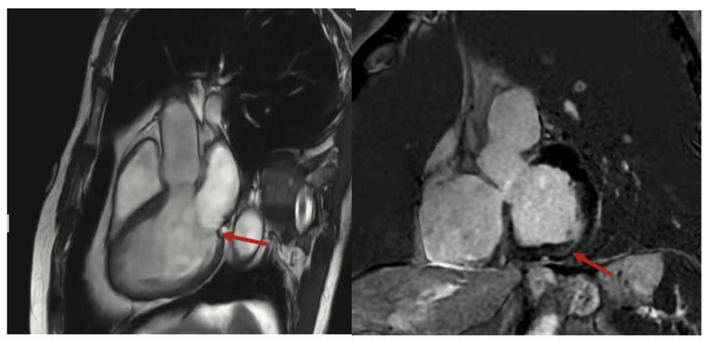 Reports 08 00094 g002