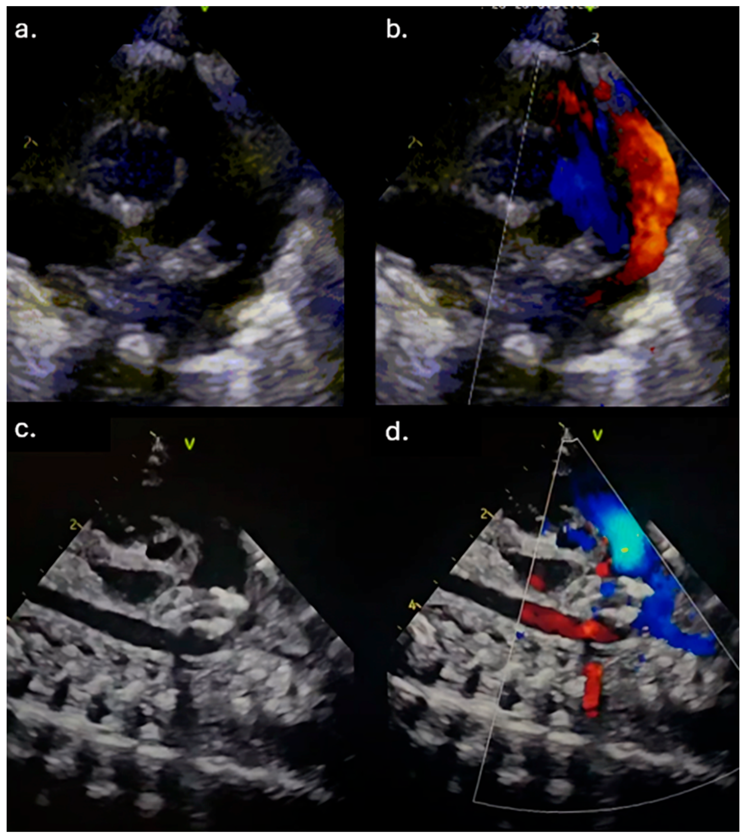 Reports 08 00097 g001