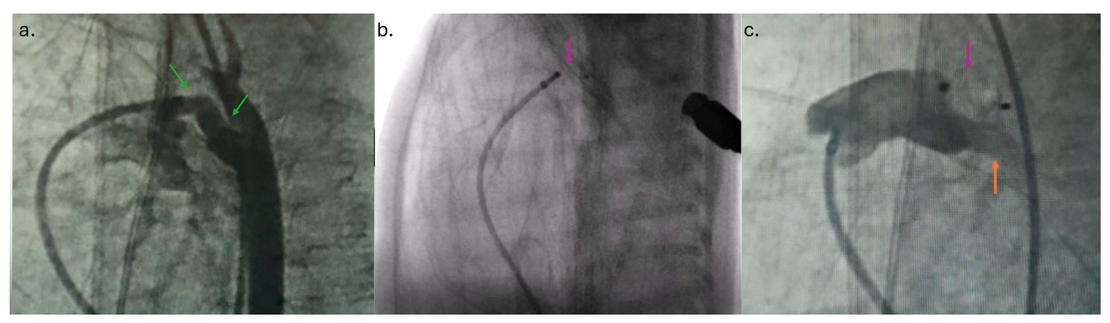 Reports 08 00097 g002