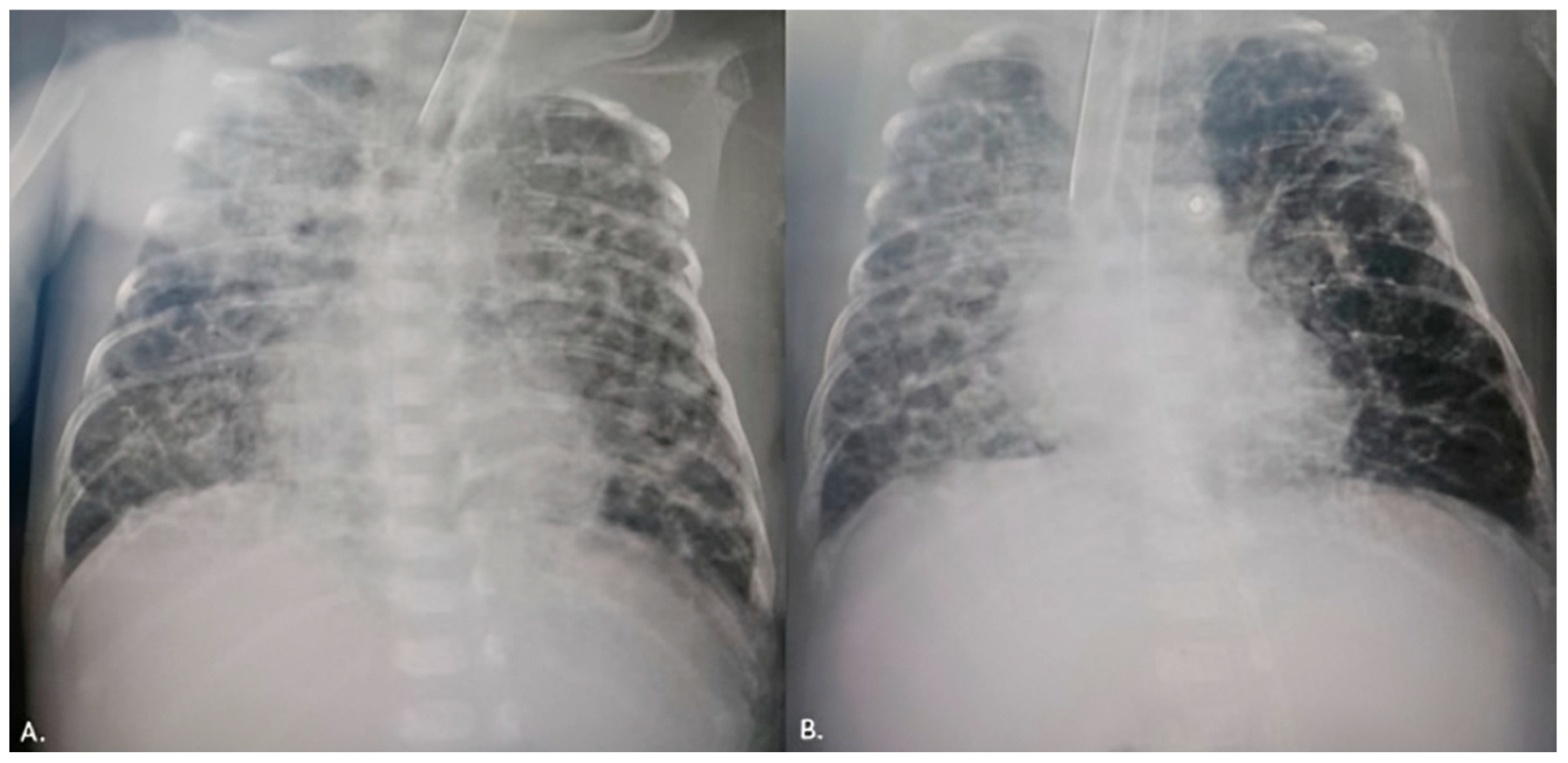 Reports 08 00097 g003