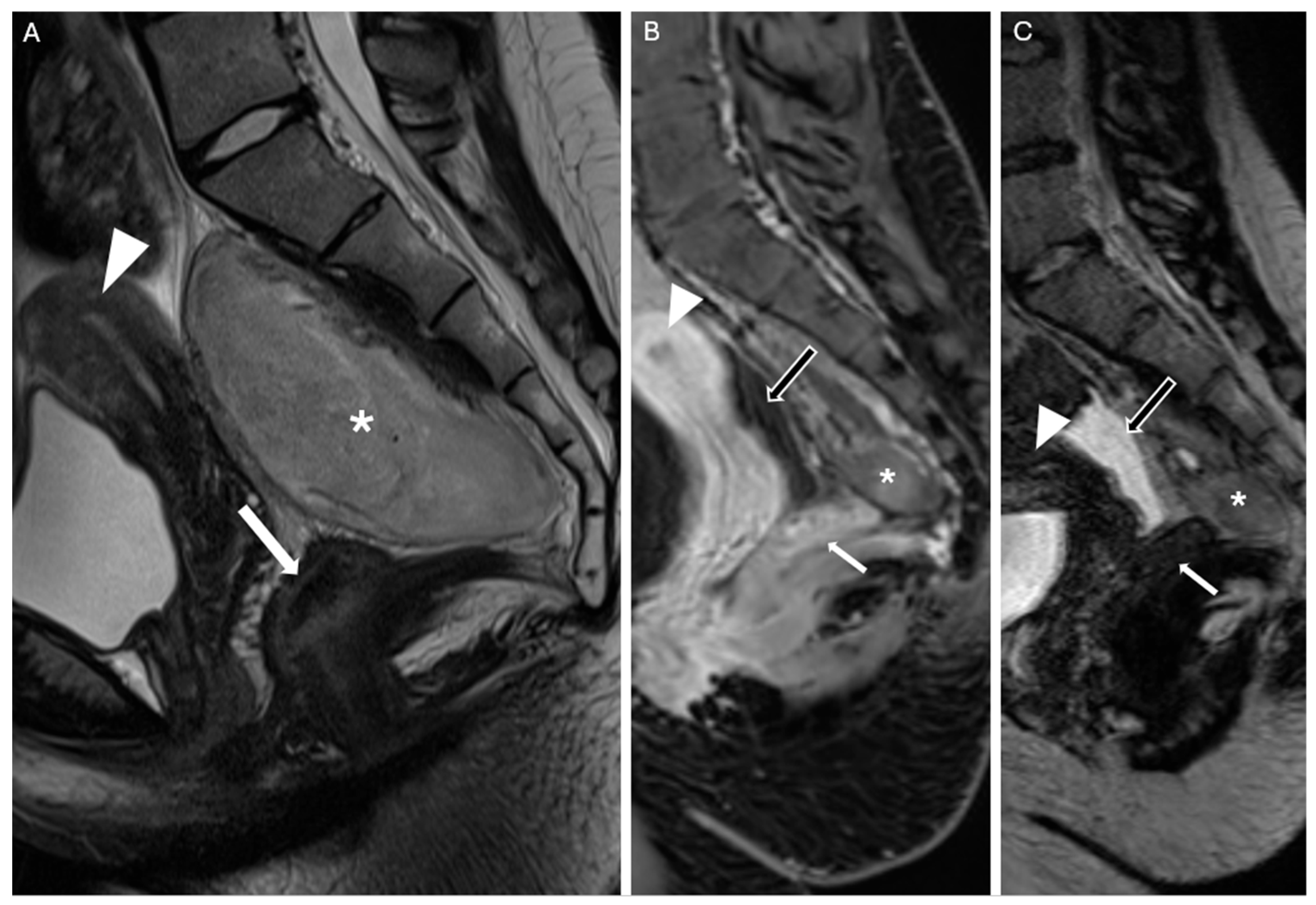 Reports 08 00099 g007