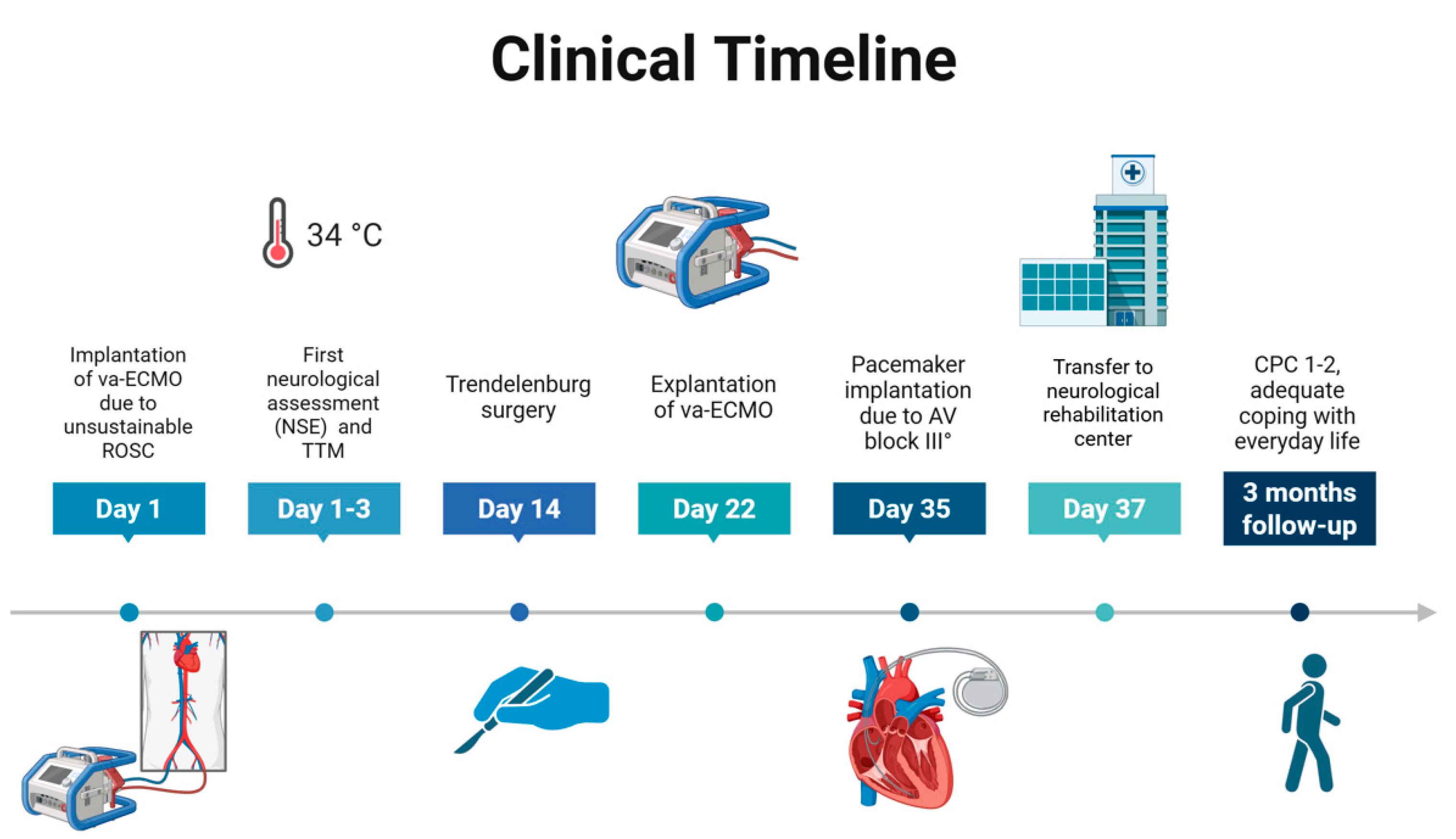 Reports 08 00100 g003