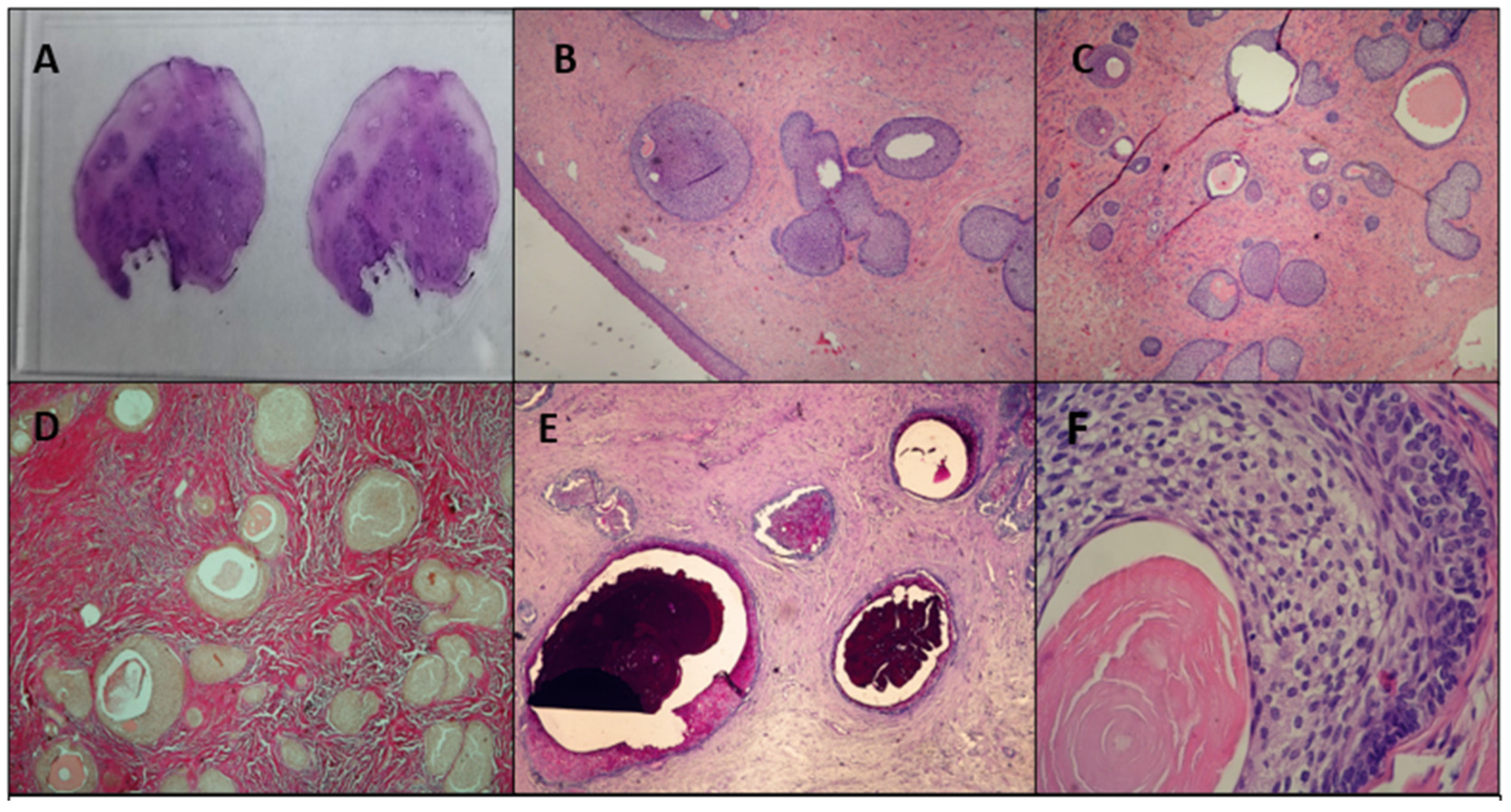 Reports 08 00103 g001