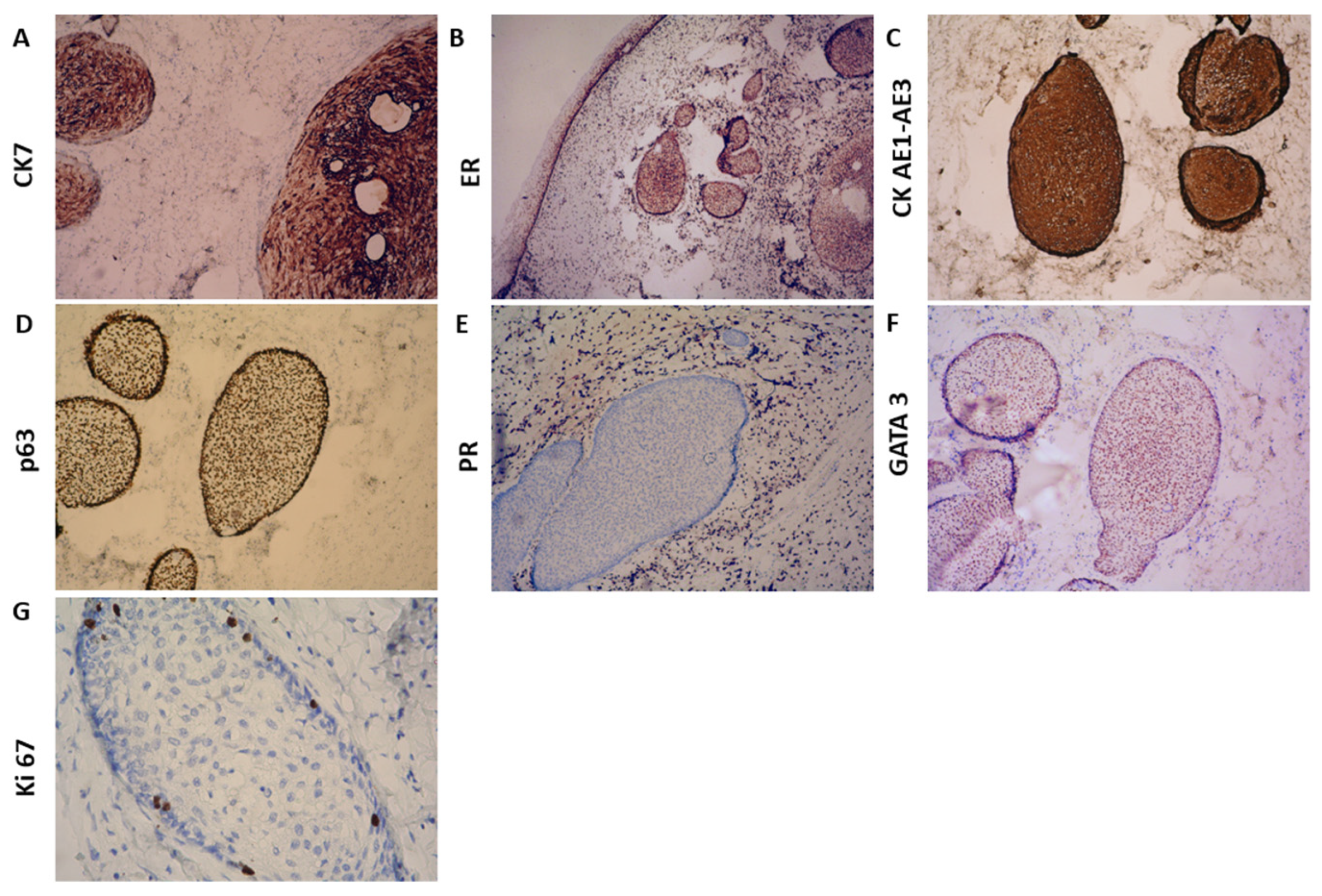 Reports 08 00103 g002