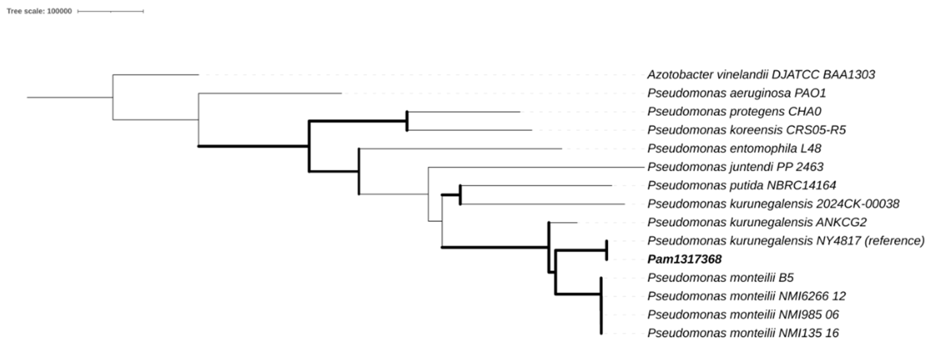 Reports 08 00104 g001