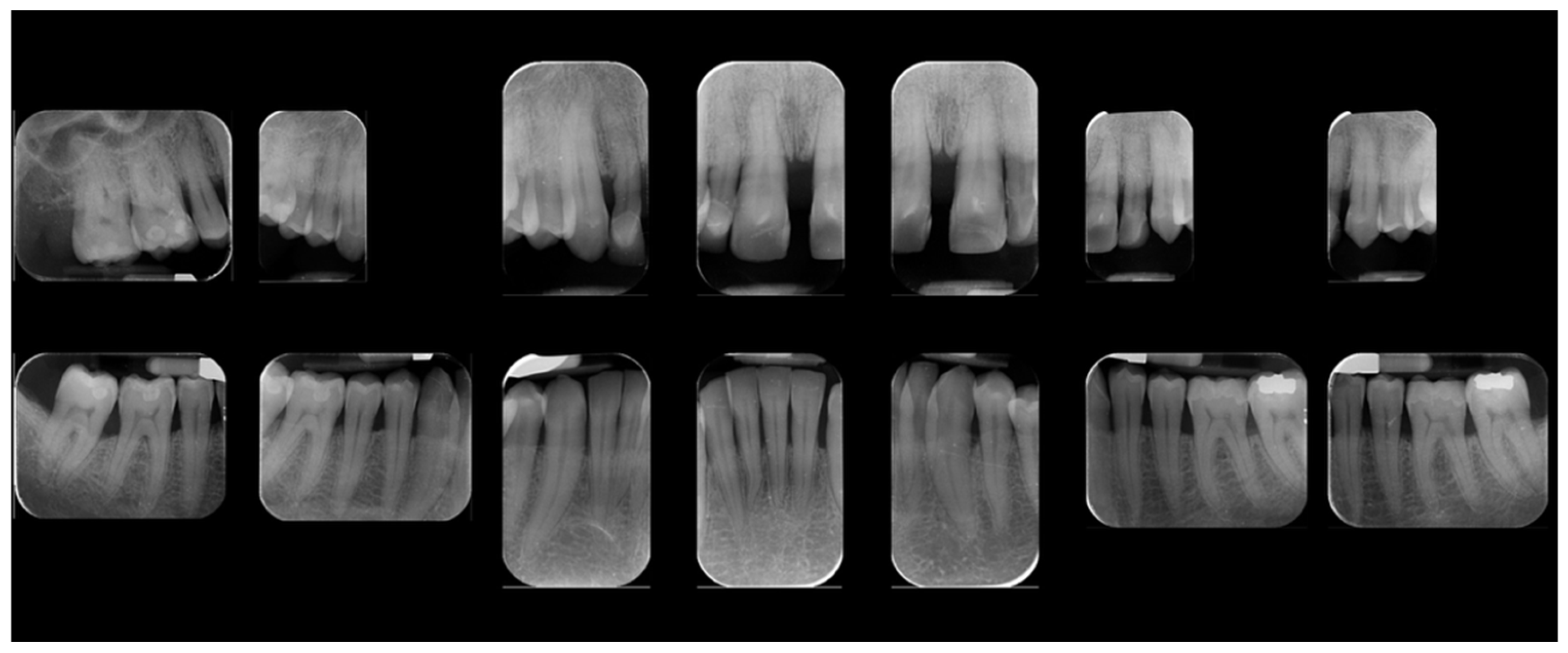 Reports 08 00105 g001