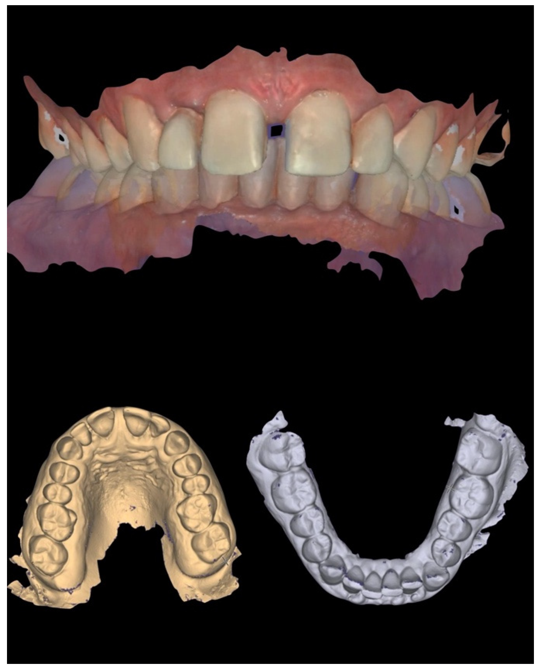 Reports 08 00105 g002