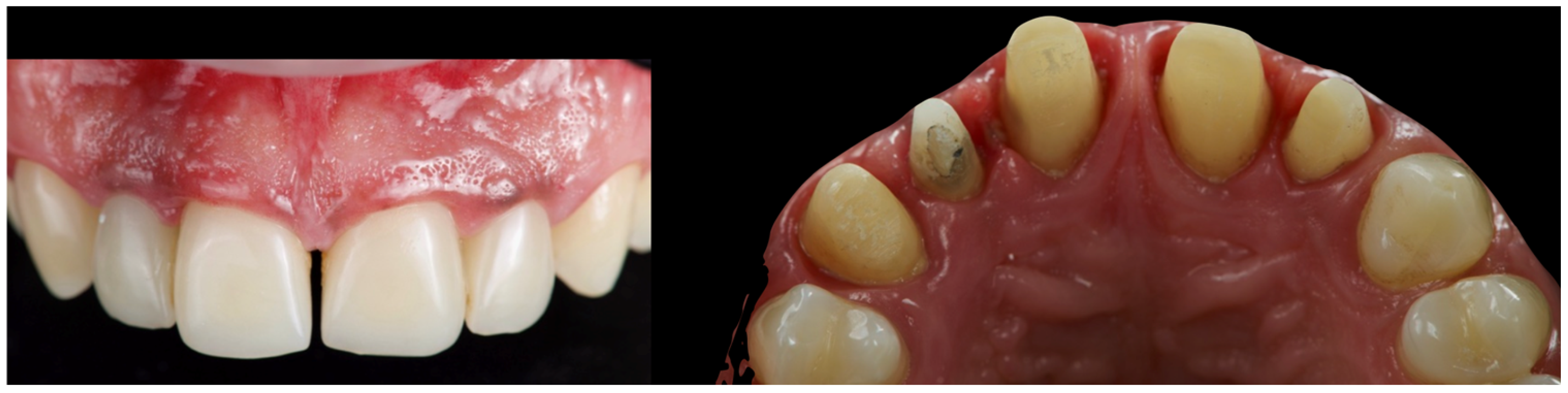 Reports 08 00105 g013