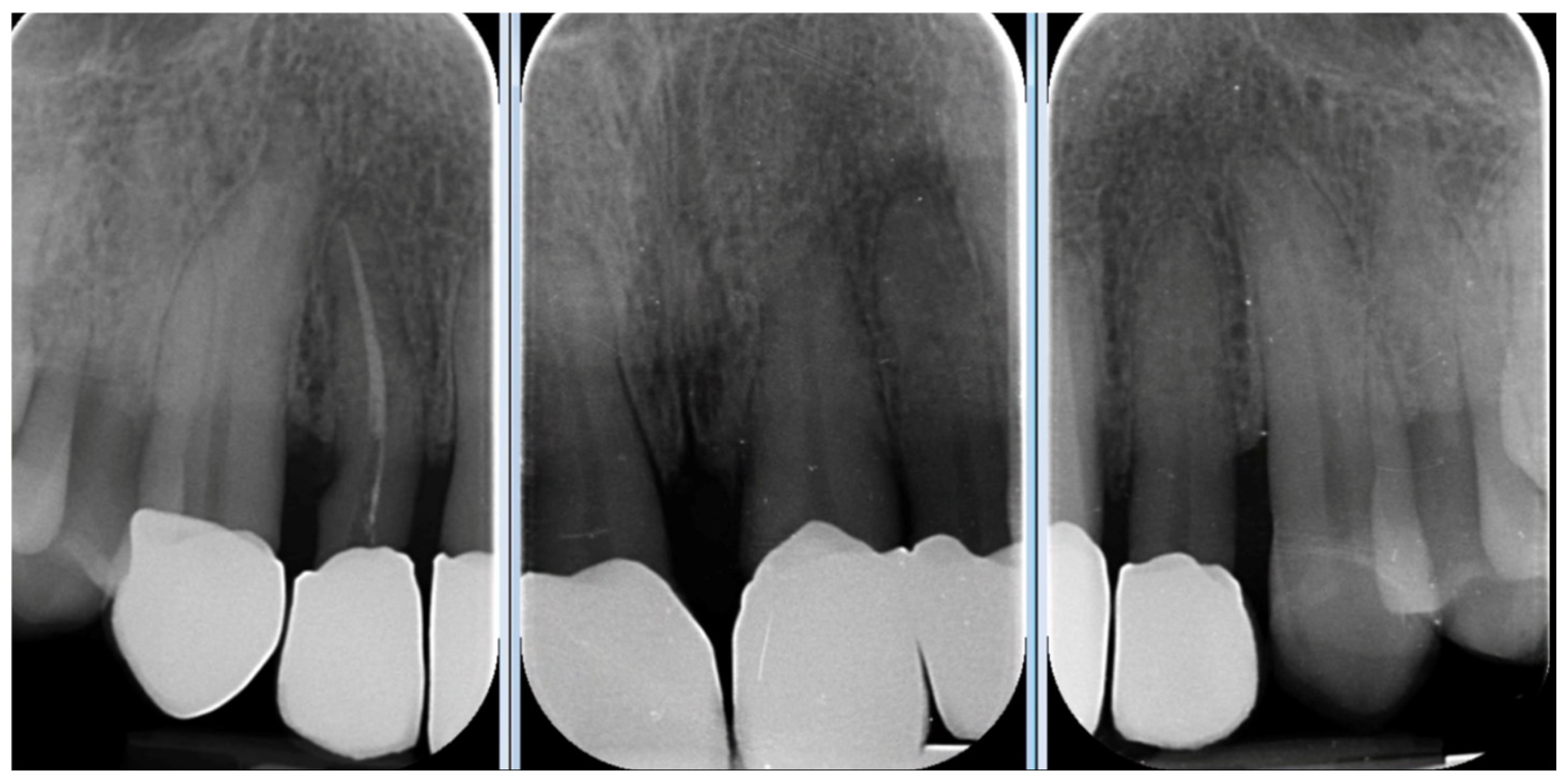 Reports 08 00105 g020