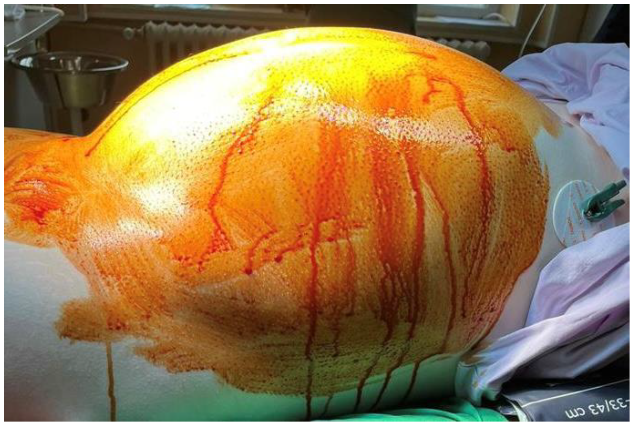 Reports 08 00106 g001