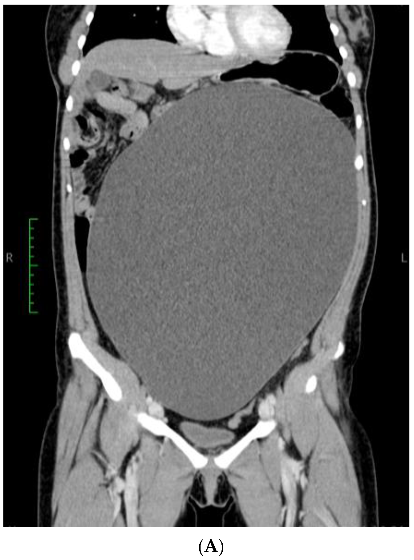 Reports 08 00106 g002a