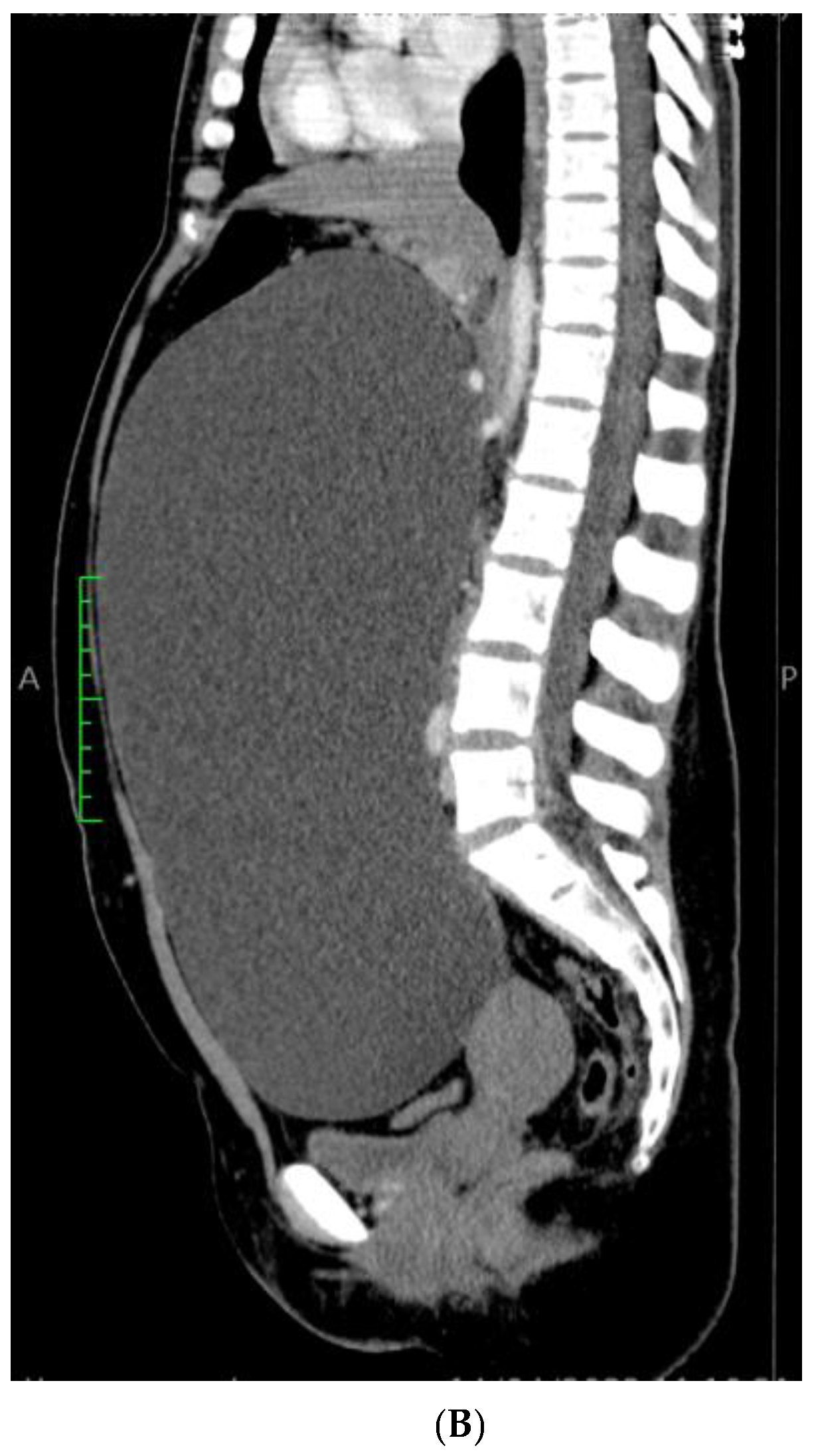 Reports 08 00106 g002b