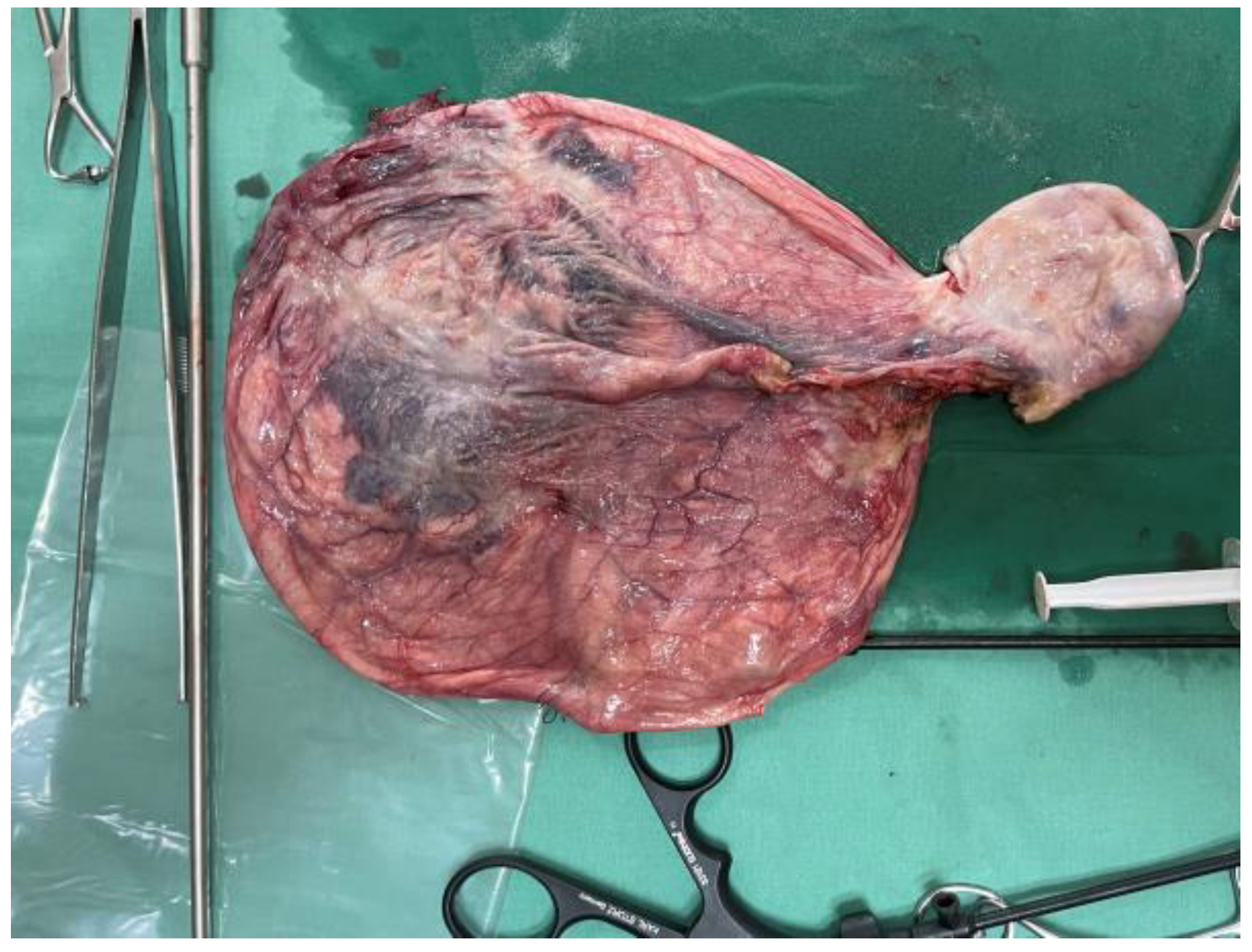 Reports 08 00106 g004