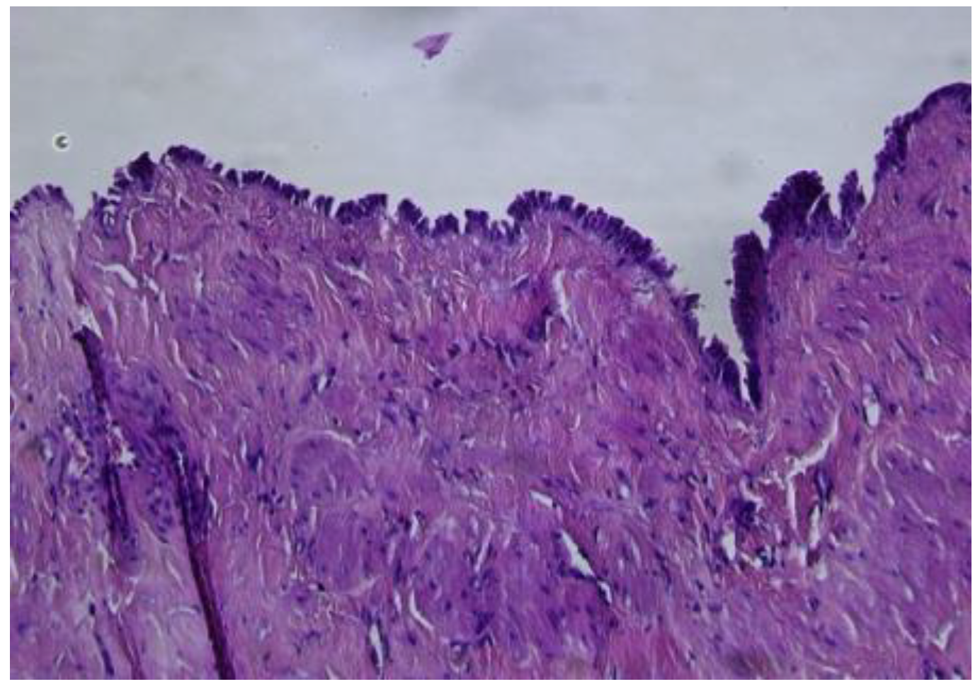 Reports 08 00106 g005