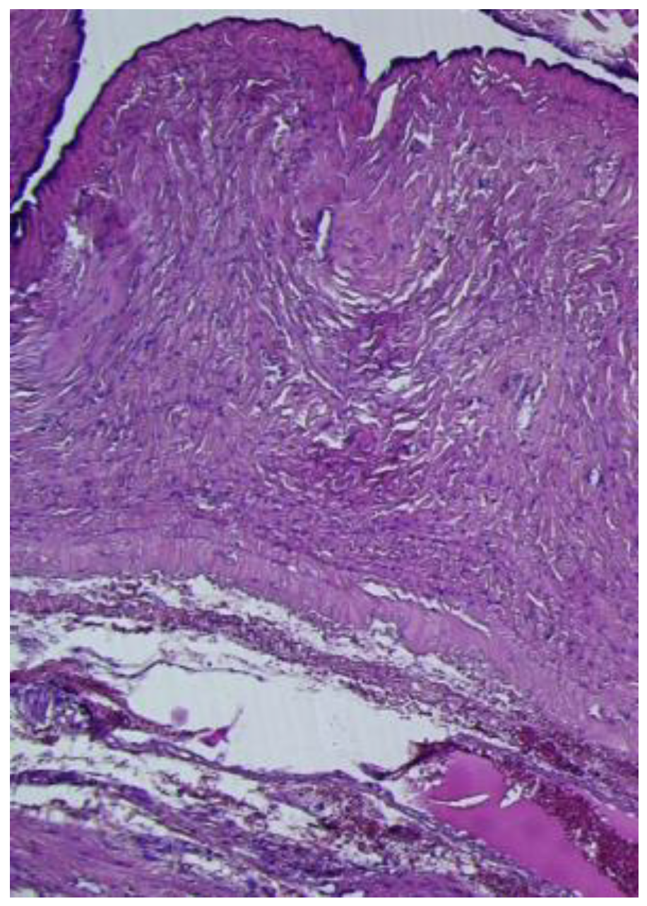 Reports 08 00106 g006