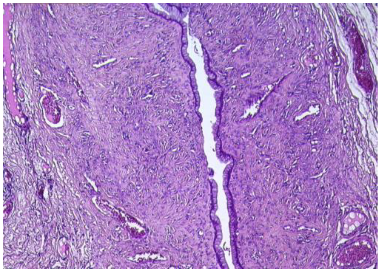 Reports 08 00106 g007