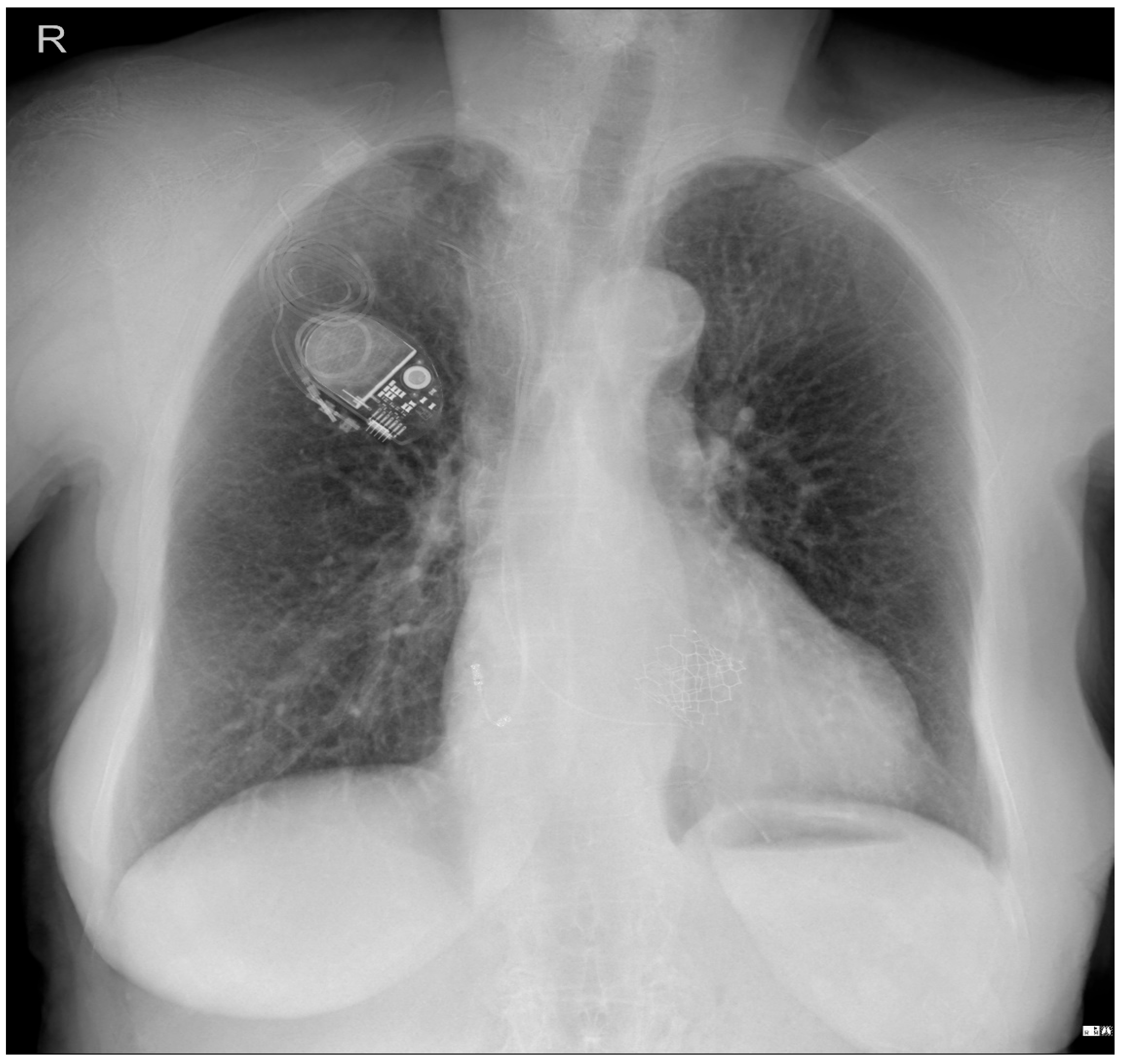 Reports 08 00109 g002