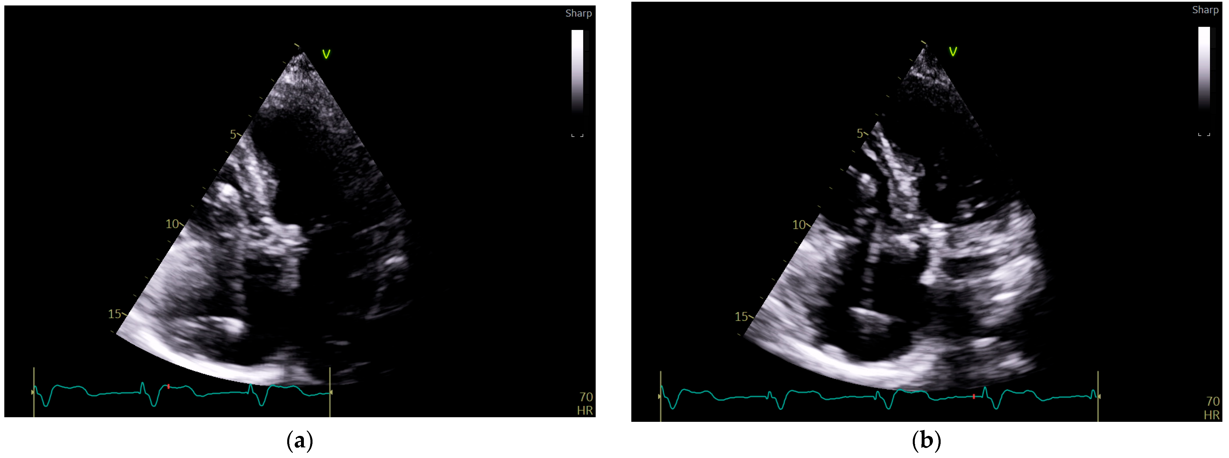 Reports 08 00109 g003a