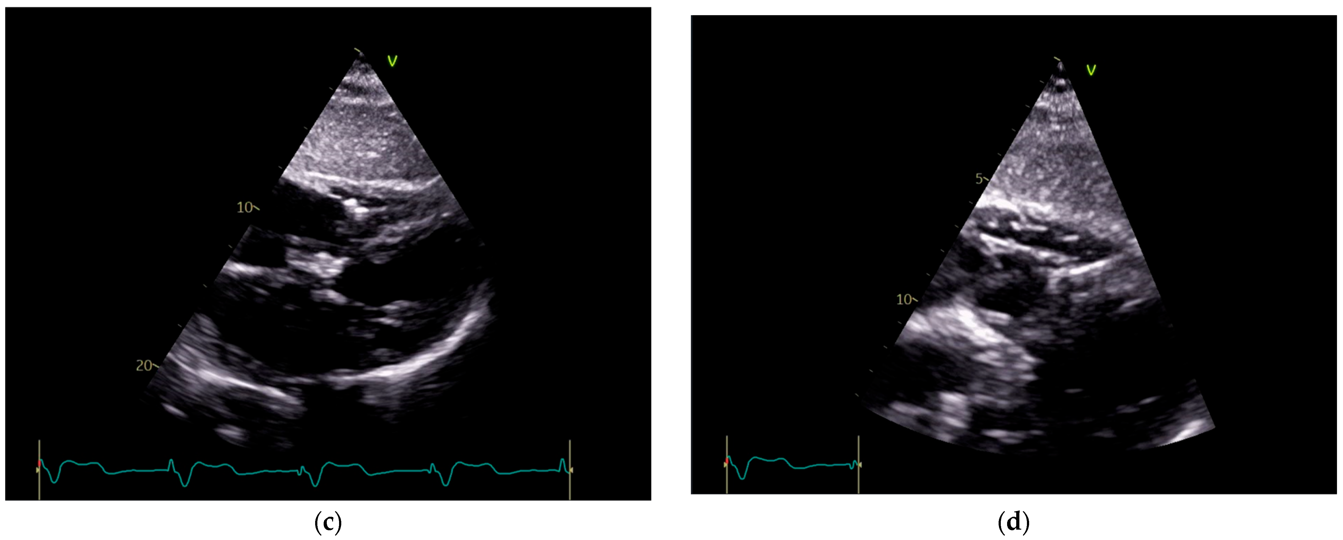 Reports 08 00109 g003b