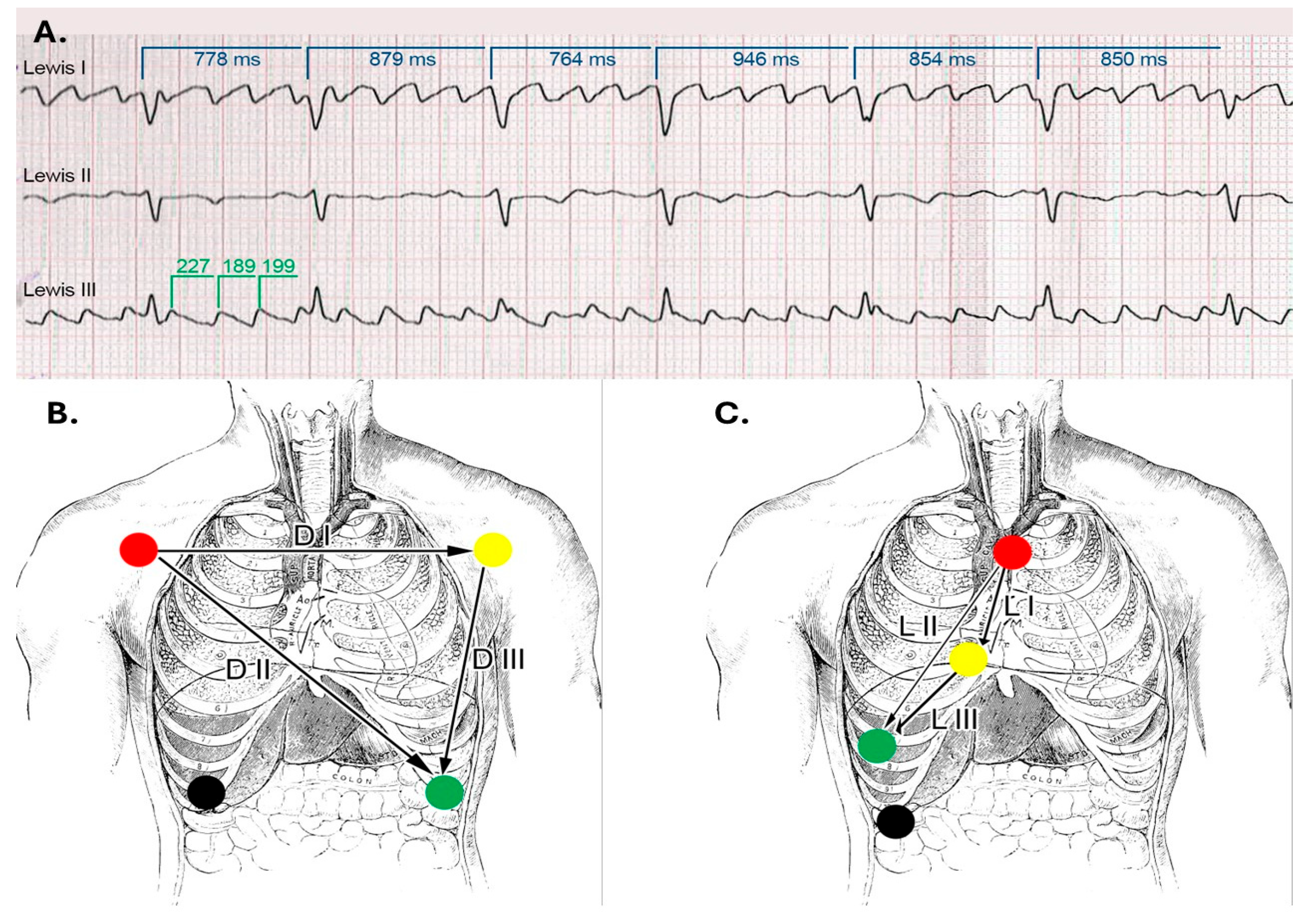 Reports 08 00109 g011