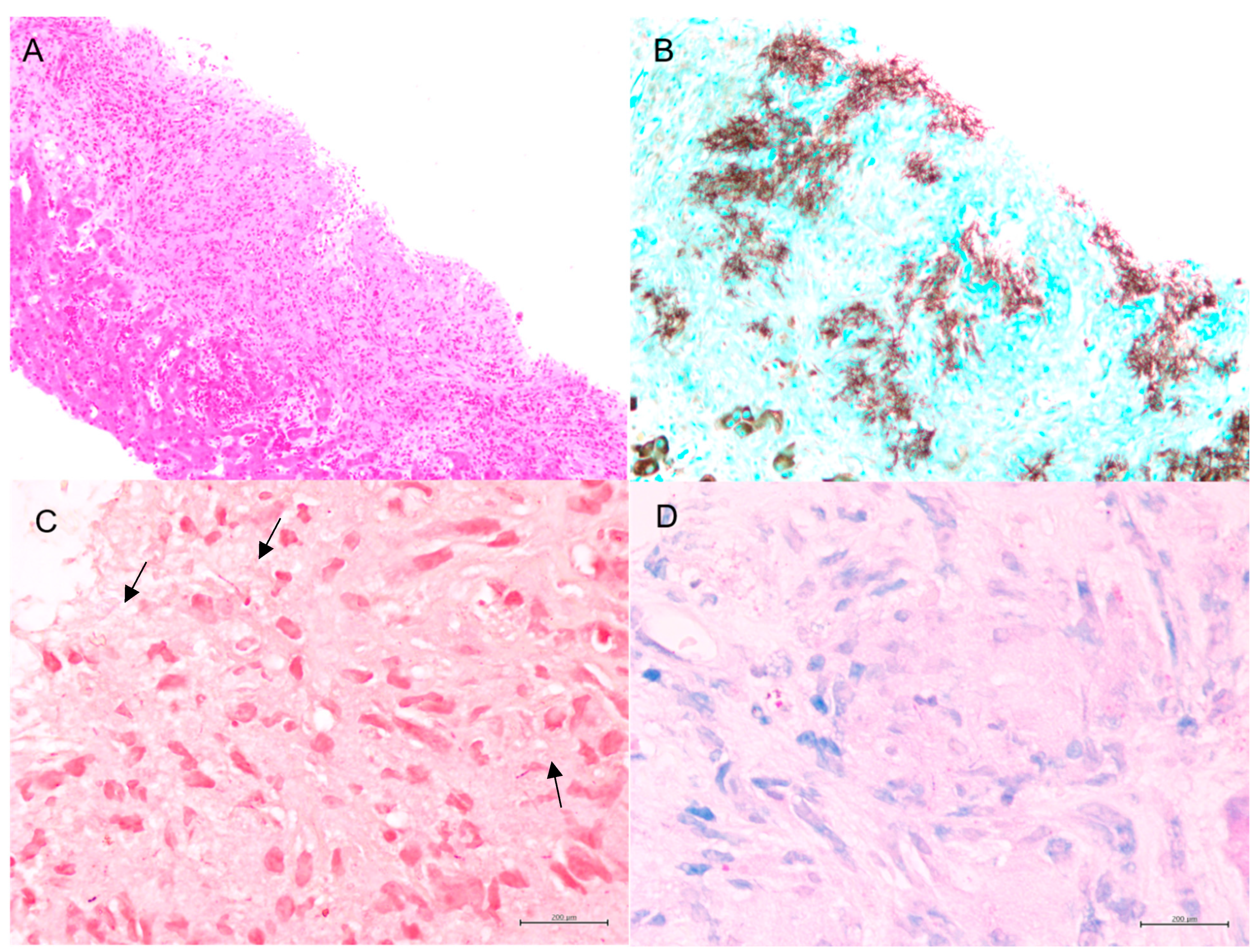 Reports 08 00111 g001