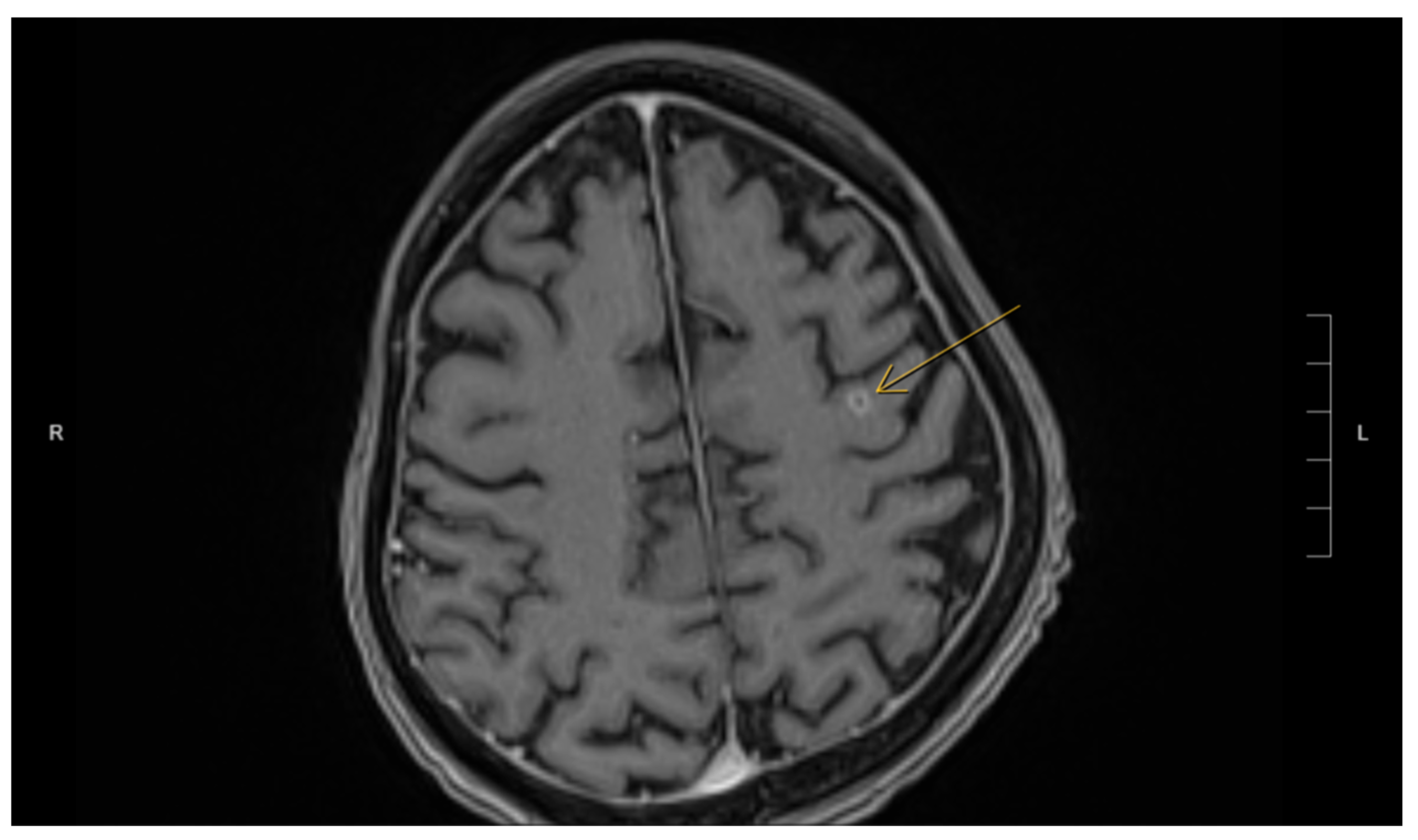 Reports 08 00111 g002