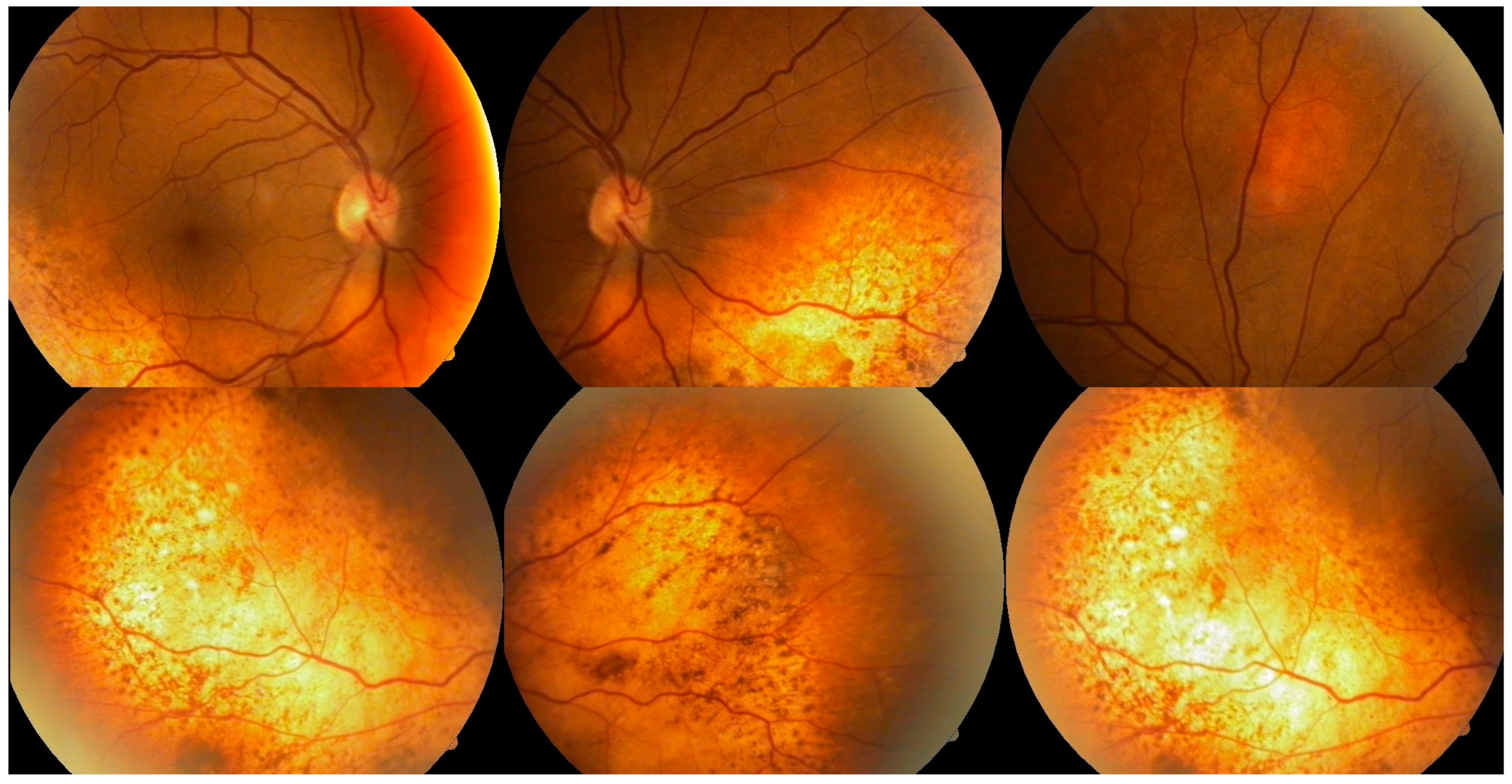 Reports 08 00114 g001