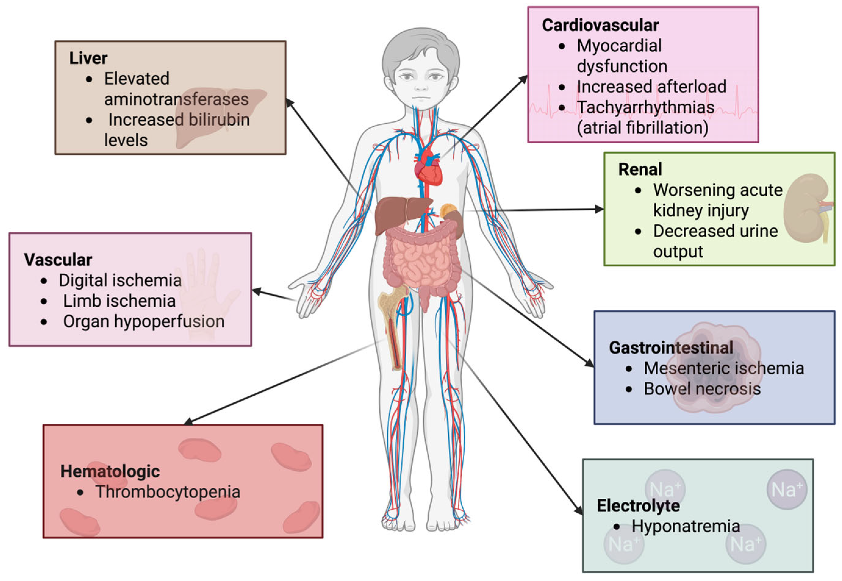 Reports 08 00117 g003