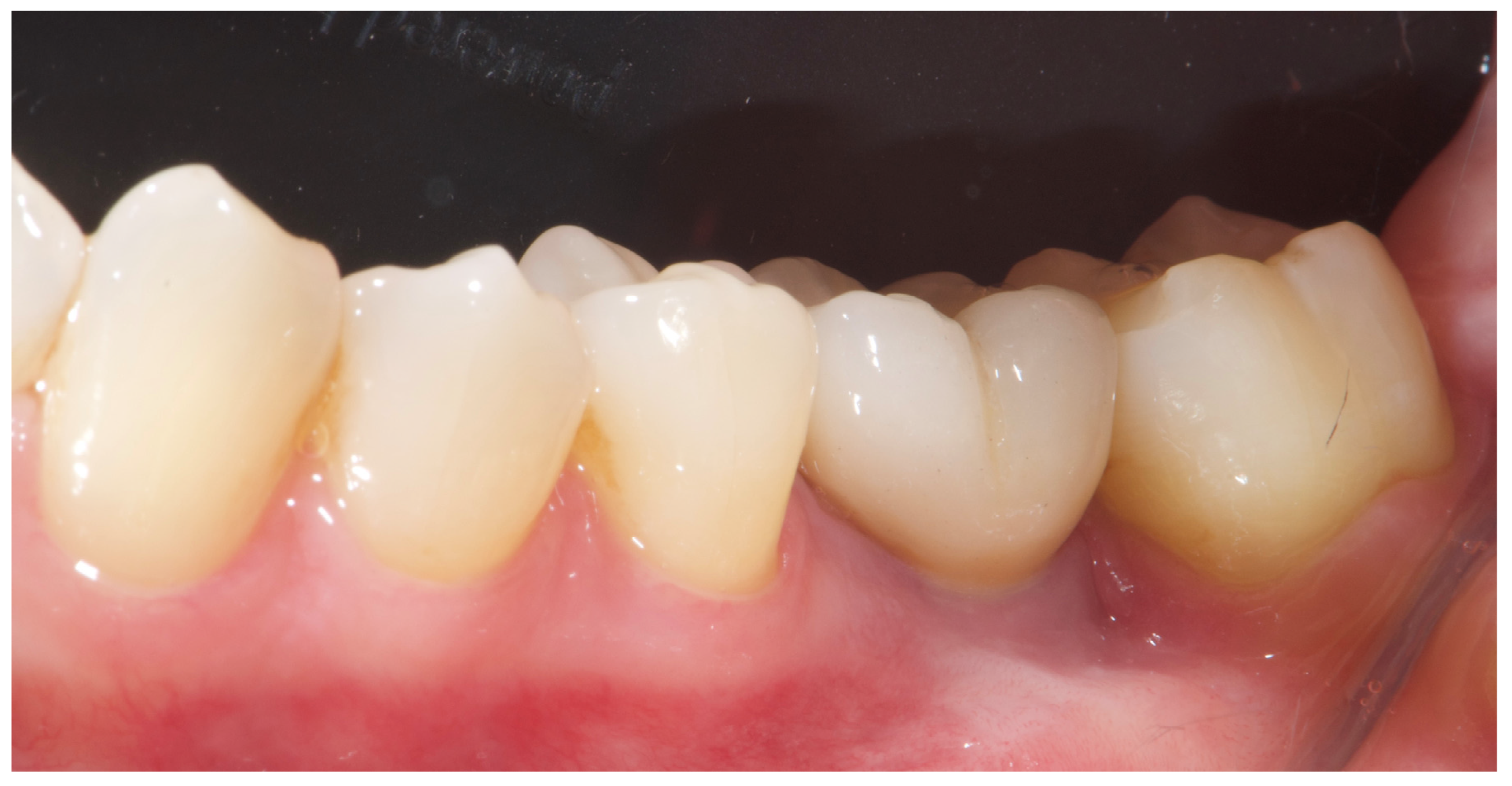 Reports 08 00118 g002