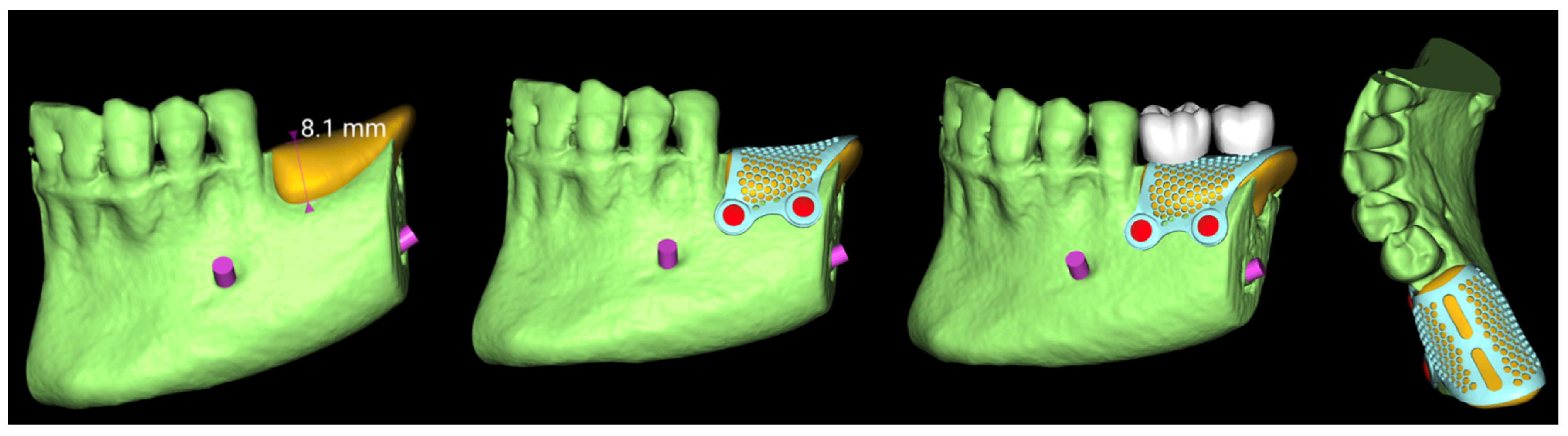 Reports 08 00118 g003