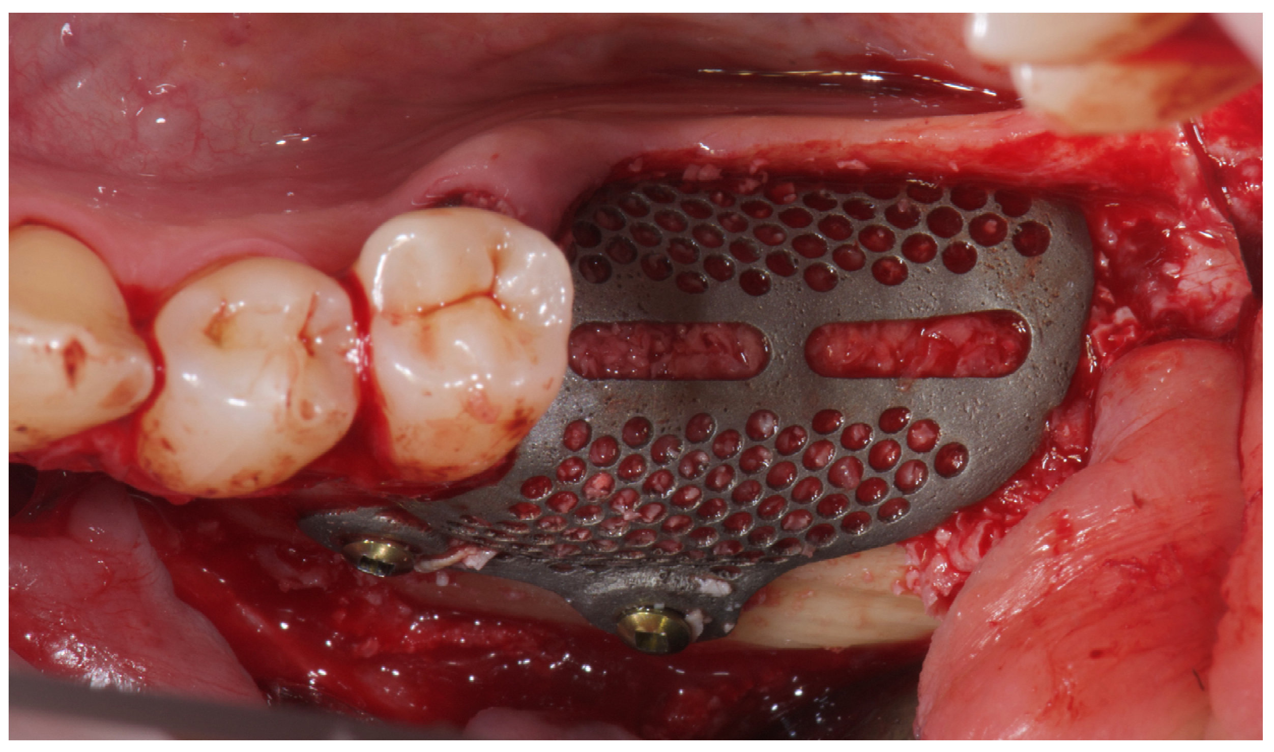 Reports 08 00118 g005