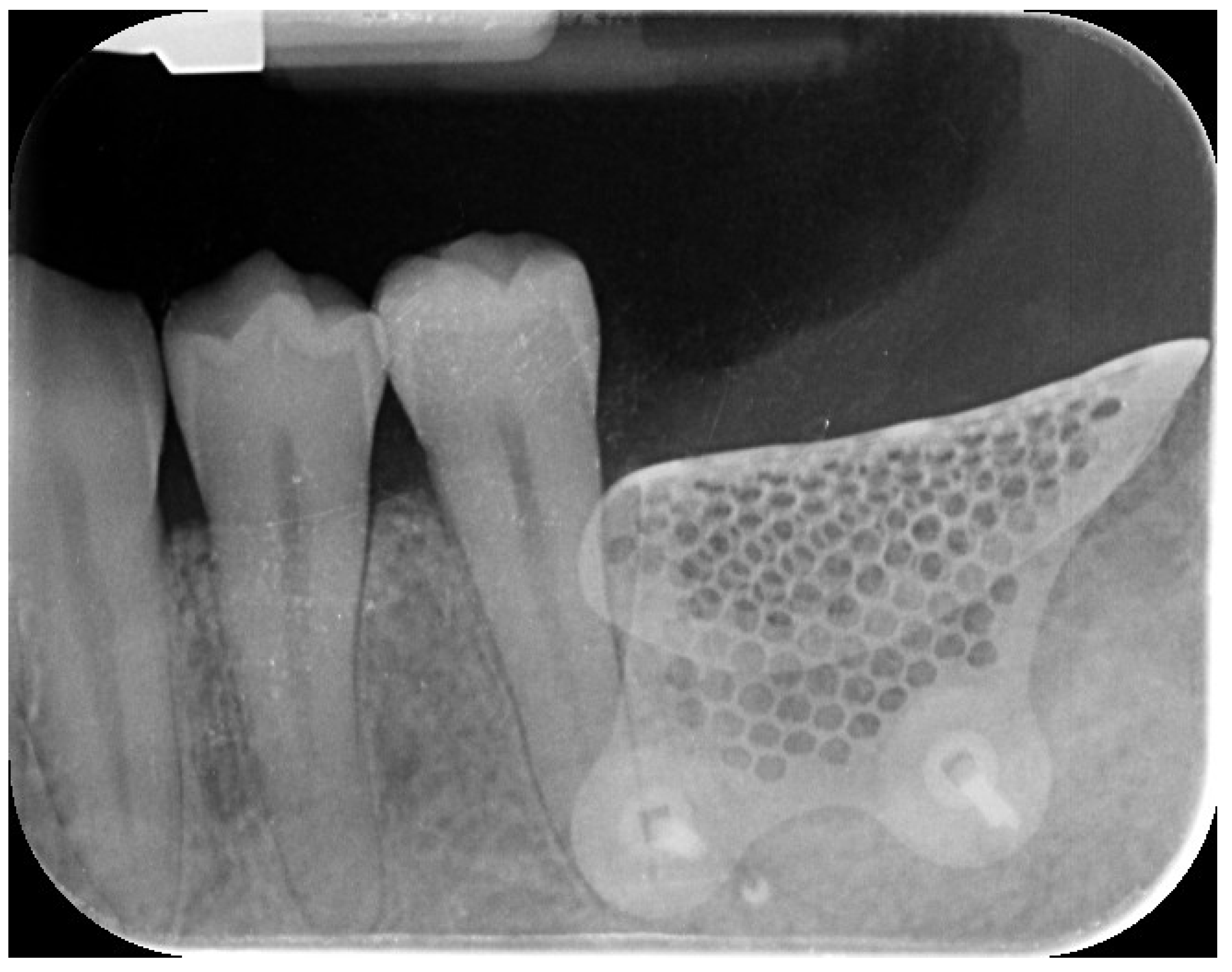 Reports 08 00118 g006