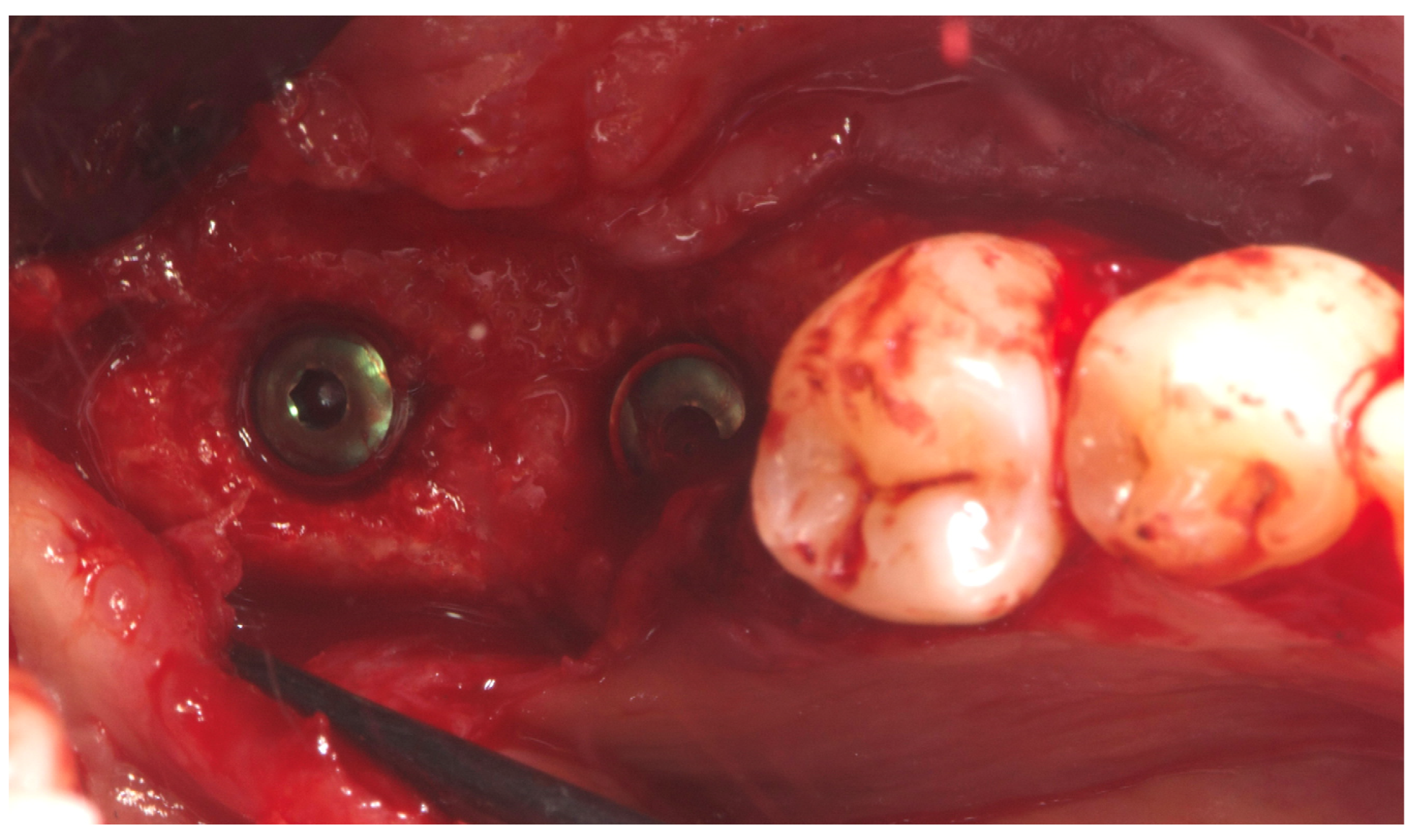 Reports 08 00118 g008