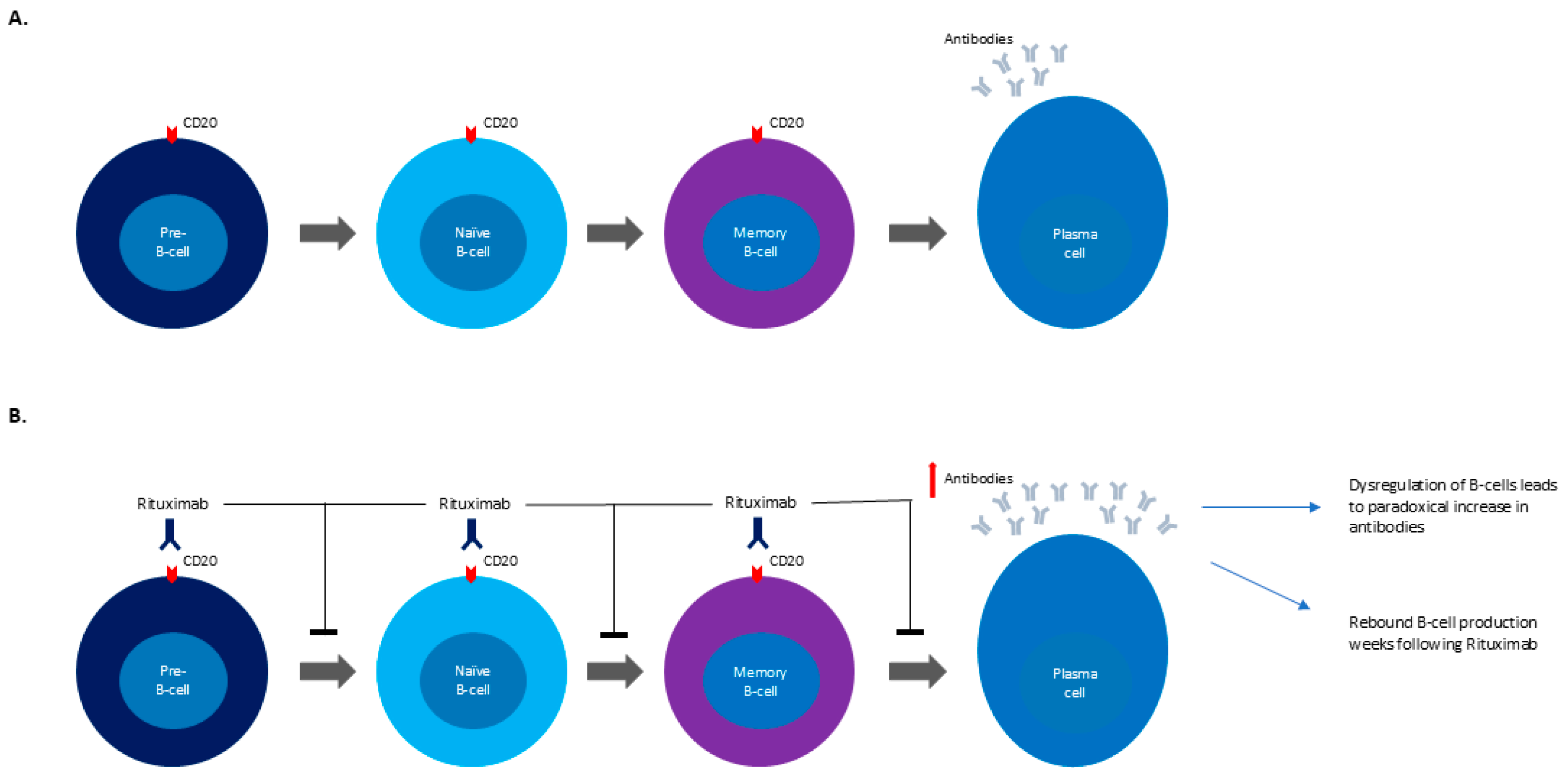 Reports 08 00119 g001