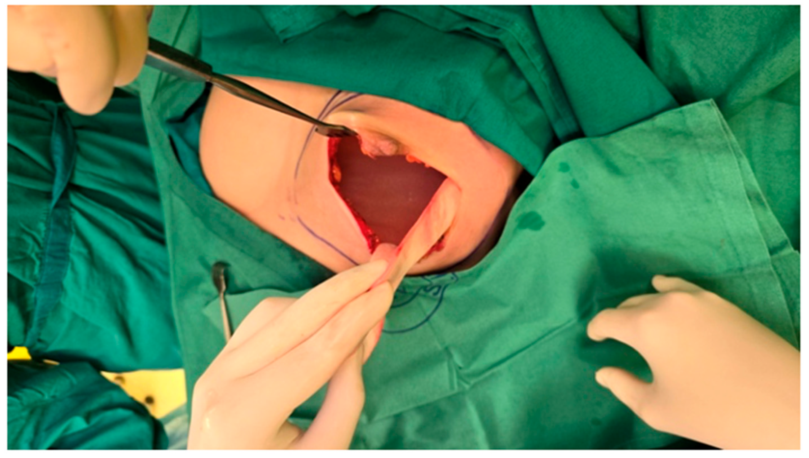 Reports 08 00120 g002