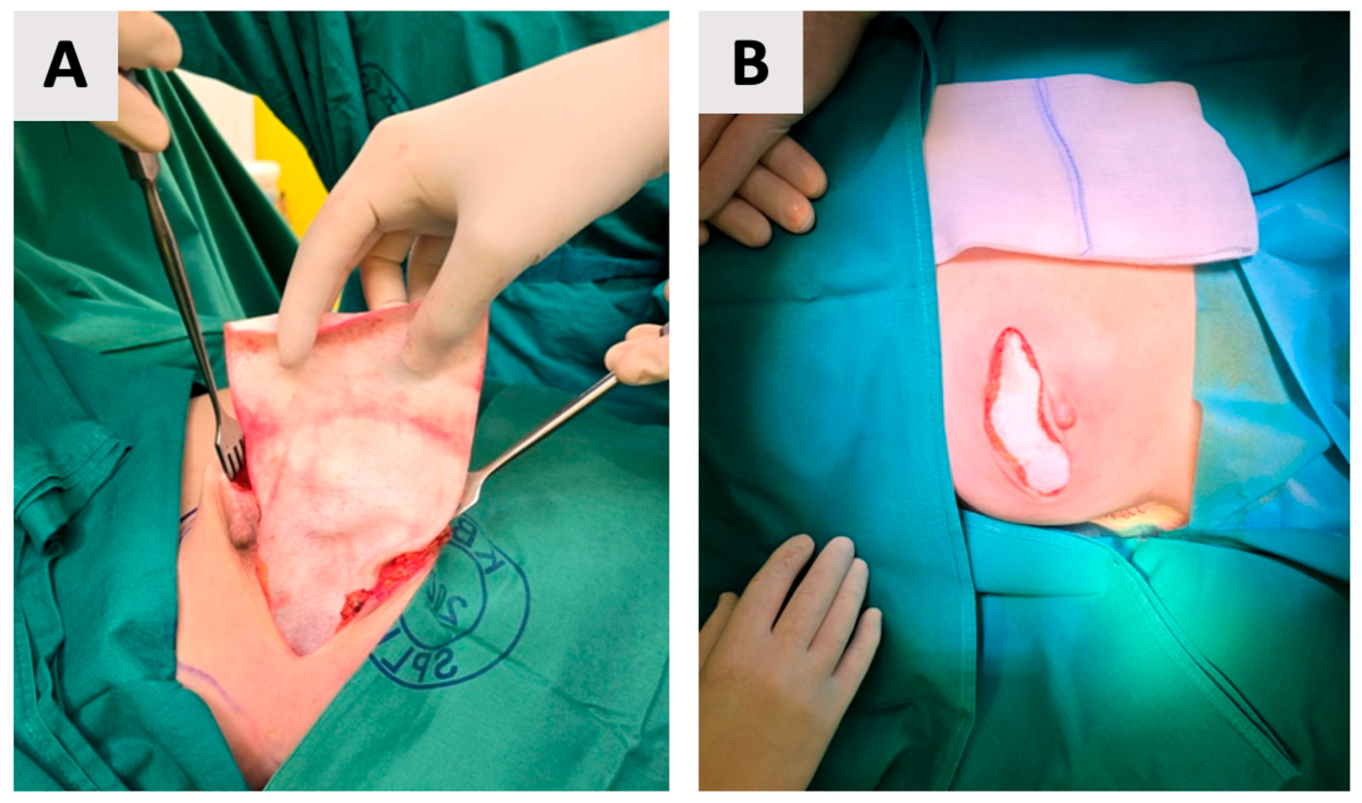 Reports 08 00120 g004